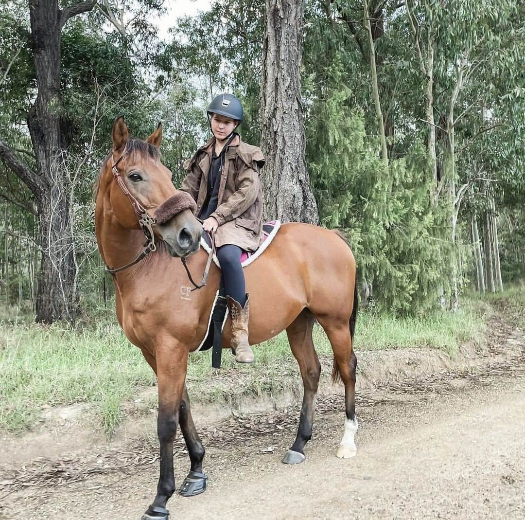のインスタグラム：「Sunday morning exploring 🐴 🤩  📸 : @sarahpequestrian  #DrizaBone」