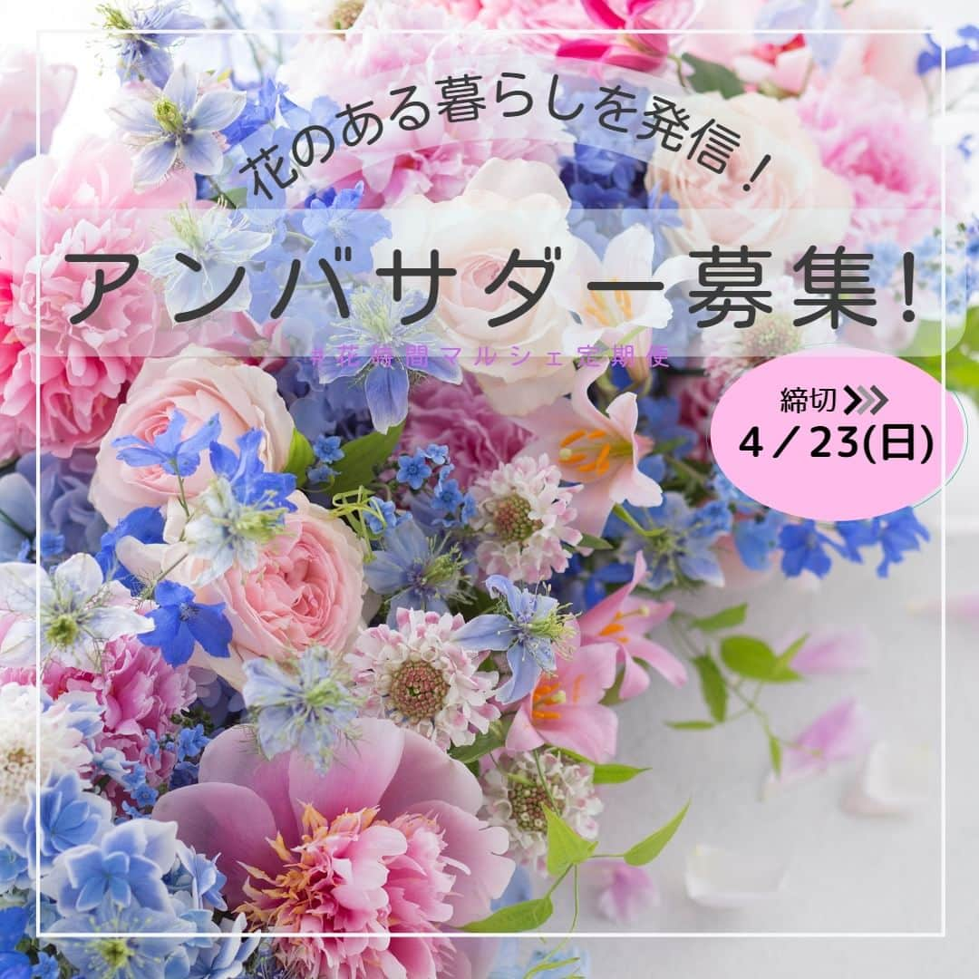 雑誌『花時間』さんのインスタグラム写真 - (雑誌『花時間』Instagram)「／ 📢『花時間』公式アンバサダー大募集！ いいね＆フォローで応募してね👍 ＼ 『花時間』と一緒に、花のある暮らしを発信してくださる公式アンバサダーを募集致します！！  アンバサダーの方々には、4～9月までの間、『花時間』から本誌やポストカードなどをお届けします。  🔔ストーリーズでキャンペーン投稿をリポスト 🔔ハッシュタグ「#花時間公式アンバサダー募集」「#花時間2023」 で当選率ＵＰ！  ↓詳細はこちら↓ ＜アンバサダー就任期間＞ 2023年4月25日(火)～9月30日(土)  ＜アンバサダー応募の条件＞ 2023年4月27日(木)、『花時間』最新号、2023春夏号の表紙をSNSに投稿いただける方  ＜公式アンバサダーのお仕事内容＞ ◎SNSで『花時間』本誌、カレンダーを紹介！ ◎期間中、春夏号やお贈りしたポストカードを参考に花を飾った様子を、月にフィード2回、ストーリーズ3回以上、ご投稿ください。※飾った花は同じものでも構いません。 ◎アンバサダー同士のフォローやシェア ◎期間中、1〜2回、編集部との交流会に参加  ・投稿は、『花時間』の本誌、購入した花、アレンジをしている様子など。『花時間』と過ごす時間をご紹介ください。  ・同じ内容やバージョン違いを、インスタグラムのストーリーにもアップしてください。その際は必ず「 @hanajikan_magazine」をタグ付けしてください。  ・指定ハッシュタグは以下です(その他はご自身のハッシュタグで結構です) #花時間 #花時間2023 #花時間公式アンバサダー #花のある暮らし #お花のある暮らし  カレンダーの投稿の場合 #花時間カレンダー2024  ●投稿が確認できなかった場合は、翌月以降のプレゼントを打ち切らせていただく場合があります。  ●素敵な画像はDMでご提供いただき、こちらのアカウントや販促物等でご紹介させていただく場合があります。  ※応募は日本国内の方に限らせていただきます。  ＜定員＞ 25名  ＜応募方法＞ ① Instagramの『花時間』公式アカウント（@hanajikan_magazine） をフォロー。 ② 注意事項を確認し、このキャンペーン投稿に「いいね」して応募完了(^^♪  ＜応募期間＞ 2023年4月16日(日) ～ 4月23日(日)23:59  ＜当選発表＞ 当選者へのみ2023年4月24日、InstagramのDM（ダイレクトメッセージ）にて「@hanajikan_magazine」よりお知らせします。 ※あらかじめDMを受け取れるよう設定してください。 ※ご当選の場合、2023年4月25日14時までに賞品送付先を専用フォームにてご登録ください。  ＜リポスト方法＞ ① キャンペーン投稿の下にある紙飛行機マークをタップ ② 「ストーリーズに投稿を追加」を選択 ③ 投稿画面で『花時間』（@hanajikan_magazine）をタグ付け ④ 投稿！  ＜ご注意＞ ※ご了承のうえご応募ください。 ■本キャンペーンにご参加いただくことにより、本応募要項に同意いただいたものとみなします（未成年者については、保護者に同意いただいたものとみなします）。 ■応募にはInstagramへの登録（無料）が必要です。  ■以下の場合は、応募を受け付けることができません。 ・非公開アカウントの場合 ・当選発表以前に、公式アカウント（@hanajikan_magazine ）へのフォローやいいねを外した場合 ・第三者の権利を侵害する内容、及び公序良俗に反する内容など、株式会社KADOKAWA（以下、弊社といいます）で不適切と判断した内容が含まれる場合  ■投稿に際し発生する通信料・通話料などは、応募者ご本人のご負担となります。 ■『花時間2023春夏』の発送は4月26日、27日、ポストカードは毎月上旬、カレンダーは9月上旬の発送を予定しています。なお、発送先は日本国内に限ります。  ■事前連絡のない転居、送付先不明（誤登録）等で戻された場合、再発送には応じかねます。また、以降の発送を打ち切らせていただきます。  ■お送りした本、カレンダー、ポストカードを譲渡（転売、オークション出品含む）しないことが応募・当選の条件です。譲渡が明らかになった場合、当選は取り消され賞品をお返しいただくことがあります。 ■当キャンペーンは、弊社が主催しています。InstagramおよびMeta社とは関係ありません。 ■Instagramおよび関連ツールの動作等の不測の障害により、当キャンペーンを予告なく変更・中止させていただく場合があります。 ■応募に際しご提供いただいた個人情報は、弊社のプライバシーポリシー（https://www.kadokawa.co.jp/）の定めるところにより取り扱わせていただきます。 ■応募に際し応募者ご本人に生じた損害等につきましては、弊社に故意・重過失のある場合を除き、弊社は一切賠償の責を負わないものとします。  ⚠️DMでクレジットカード情報等の個人情報を求めることはありません。偽アカウントに対しては、通報やブロックのご対応をお願いいたします。  #キャンペーン企画 #キャンペーン開催中 #プレゼント企画 #アンバサダー募集」4月16日 19時14分 - hanajikan_magazine