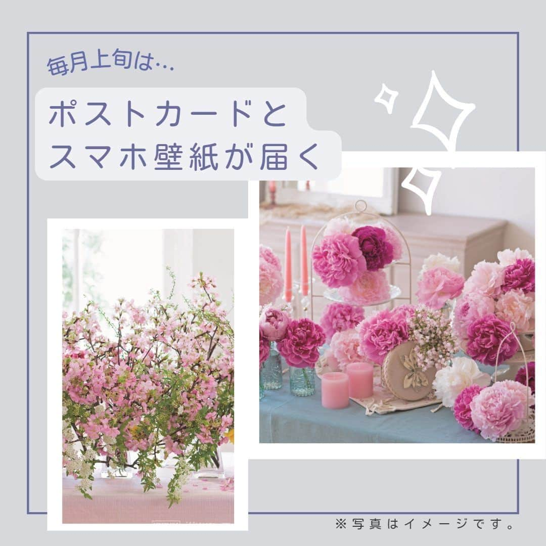 雑誌『花時間』さんのインスタグラム写真 - (雑誌『花時間』Instagram)「／ 📢『花時間』公式アンバサダー大募集！ いいね＆フォローで応募してね👍 ＼ 『花時間』と一緒に、花のある暮らしを発信してくださる公式アンバサダーを募集致します！！  アンバサダーの方々には、4～9月までの間、『花時間』から本誌やポストカードなどをお届けします。  🔔ストーリーズでキャンペーン投稿をリポスト 🔔ハッシュタグ「#花時間公式アンバサダー募集」「#花時間2023」 で当選率ＵＰ！  ↓詳細はこちら↓ ＜アンバサダー就任期間＞ 2023年4月25日(火)～9月30日(土)  ＜アンバサダー応募の条件＞ 2023年4月27日(木)、『花時間』最新号、2023春夏号の表紙をSNSに投稿いただける方  ＜公式アンバサダーのお仕事内容＞ ◎SNSで『花時間』本誌、カレンダーを紹介！ ◎期間中、春夏号やお贈りしたポストカードを参考に花を飾った様子を、月にフィード2回、ストーリーズ3回以上、ご投稿ください。※飾った花は同じものでも構いません。 ◎アンバサダー同士のフォローやシェア ◎期間中、1〜2回、編集部との交流会に参加  ・投稿は、『花時間』の本誌、購入した花、アレンジをしている様子など。『花時間』と過ごす時間をご紹介ください。  ・同じ内容やバージョン違いを、インスタグラムのストーリーにもアップしてください。その際は必ず「 @hanajikan_magazine」をタグ付けしてください。  ・指定ハッシュタグは以下です(その他はご自身のハッシュタグで結構です) #花時間 #花時間2023 #花時間公式アンバサダー #花のある暮らし #お花のある暮らし  カレンダーの投稿の場合 #花時間カレンダー2024  ●投稿が確認できなかった場合は、翌月以降のプレゼントを打ち切らせていただく場合があります。  ●素敵な画像はDMでご提供いただき、こちらのアカウントや販促物等でご紹介させていただく場合があります。  ※応募は日本国内の方に限らせていただきます。  ＜定員＞ 25名  ＜応募方法＞ ① Instagramの『花時間』公式アカウント（@hanajikan_magazine） をフォロー。 ② 注意事項を確認し、このキャンペーン投稿に「いいね」して応募完了(^^♪  ＜応募期間＞ 2023年4月16日(日) ～ 4月23日(日)23:59  ＜当選発表＞ 当選者へのみ2023年4月24日、InstagramのDM（ダイレクトメッセージ）にて「@hanajikan_magazine」よりお知らせします。 ※あらかじめDMを受け取れるよう設定してください。 ※ご当選の場合、2023年4月25日14時までに賞品送付先を専用フォームにてご登録ください。  ＜リポスト方法＞ ① キャンペーン投稿の下にある紙飛行機マークをタップ ② 「ストーリーズに投稿を追加」を選択 ③ 投稿画面で『花時間』（@hanajikan_magazine）をタグ付け ④ 投稿！  ＜ご注意＞ ※ご了承のうえご応募ください。 ■本キャンペーンにご参加いただくことにより、本応募要項に同意いただいたものとみなします（未成年者については、保護者に同意いただいたものとみなします）。 ■応募にはInstagramへの登録（無料）が必要です。  ■以下の場合は、応募を受け付けることができません。 ・非公開アカウントの場合 ・当選発表以前に、公式アカウント（@hanajikan_magazine ）へのフォローやいいねを外した場合 ・第三者の権利を侵害する内容、及び公序良俗に反する内容など、株式会社KADOKAWA（以下、弊社といいます）で不適切と判断した内容が含まれる場合  ■投稿に際し発生する通信料・通話料などは、応募者ご本人のご負担となります。 ■『花時間2023春夏』の発送は4月26日、27日、ポストカードは毎月上旬、カレンダーは9月上旬の発送を予定しています。なお、発送先は日本国内に限ります。  ■事前連絡のない転居、送付先不明（誤登録）等で戻された場合、再発送には応じかねます。また、以降の発送を打ち切らせていただきます。  ■お送りした本、カレンダー、ポストカードを譲渡（転売、オークション出品含む）しないことが応募・当選の条件です。譲渡が明らかになった場合、当選は取り消され賞品をお返しいただくことがあります。 ■当キャンペーンは、弊社が主催しています。InstagramおよびMeta社とは関係ありません。 ■Instagramおよび関連ツールの動作等の不測の障害により、当キャンペーンを予告なく変更・中止させていただく場合があります。 ■応募に際しご提供いただいた個人情報は、弊社のプライバシーポリシー（https://www.kadokawa.co.jp/）の定めるところにより取り扱わせていただきます。 ■応募に際し応募者ご本人に生じた損害等につきましては、弊社に故意・重過失のある場合を除き、弊社は一切賠償の責を負わないものとします。  ⚠️DMでクレジットカード情報等の個人情報を求めることはありません。偽アカウントに対しては、通報やブロックのご対応をお願いいたします。  #キャンペーン企画 #キャンペーン開催中 #プレゼント企画 #アンバサダー募集」4月16日 19時14分 - hanajikan_magazine