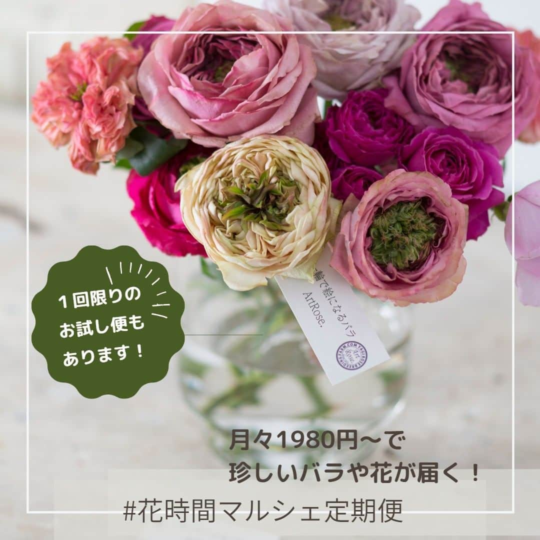 雑誌『花時間』さんのインスタグラム写真 - (雑誌『花時間』Instagram)「／ 📢『花時間』公式アンバサダー大募集！ いいね＆フォローで応募してね👍 ＼ 『花時間』と一緒に、花のある暮らしを発信してくださる公式アンバサダーを募集致します！！  アンバサダーの方々には、4～9月までの間、『花時間』から本誌やポストカードなどをお届けします。  🔔ストーリーズでキャンペーン投稿をリポスト 🔔ハッシュタグ「#花時間公式アンバサダー募集」「#花時間2023」 で当選率ＵＰ！  ↓詳細はこちら↓ ＜アンバサダー就任期間＞ 2023年4月25日(火)～9月30日(土)  ＜アンバサダー応募の条件＞ 2023年4月27日(木)、『花時間』最新号、2023春夏号の表紙をSNSに投稿いただける方  ＜公式アンバサダーのお仕事内容＞ ◎SNSで『花時間』本誌、カレンダーを紹介！ ◎期間中、春夏号やお贈りしたポストカードを参考に花を飾った様子を、月にフィード2回、ストーリーズ3回以上、ご投稿ください。※飾った花は同じものでも構いません。 ◎アンバサダー同士のフォローやシェア ◎期間中、1〜2回、編集部との交流会に参加  ・投稿は、『花時間』の本誌、購入した花、アレンジをしている様子など。『花時間』と過ごす時間をご紹介ください。  ・同じ内容やバージョン違いを、インスタグラムのストーリーにもアップしてください。その際は必ず「 @hanajikan_magazine」をタグ付けしてください。  ・指定ハッシュタグは以下です(その他はご自身のハッシュタグで結構です) #花時間 #花時間2023 #花時間公式アンバサダー #花のある暮らし #お花のある暮らし  カレンダーの投稿の場合 #花時間カレンダー2024  ●投稿が確認できなかった場合は、翌月以降のプレゼントを打ち切らせていただく場合があります。  ●素敵な画像はDMでご提供いただき、こちらのアカウントや販促物等でご紹介させていただく場合があります。  ※応募は日本国内の方に限らせていただきます。  ＜定員＞ 25名  ＜応募方法＞ ① Instagramの『花時間』公式アカウント（@hanajikan_magazine） をフォロー。 ② 注意事項を確認し、このキャンペーン投稿に「いいね」して応募完了(^^♪  ＜応募期間＞ 2023年4月16日(日) ～ 4月23日(日)23:59  ＜当選発表＞ 当選者へのみ2023年4月24日、InstagramのDM（ダイレクトメッセージ）にて「@hanajikan_magazine」よりお知らせします。 ※あらかじめDMを受け取れるよう設定してください。 ※ご当選の場合、2023年4月25日14時までに賞品送付先を専用フォームにてご登録ください。  ＜リポスト方法＞ ① キャンペーン投稿の下にある紙飛行機マークをタップ ② 「ストーリーズに投稿を追加」を選択 ③ 投稿画面で『花時間』（@hanajikan_magazine）をタグ付け ④ 投稿！  ＜ご注意＞ ※ご了承のうえご応募ください。 ■本キャンペーンにご参加いただくことにより、本応募要項に同意いただいたものとみなします（未成年者については、保護者に同意いただいたものとみなします）。 ■応募にはInstagramへの登録（無料）が必要です。  ■以下の場合は、応募を受け付けることができません。 ・非公開アカウントの場合 ・当選発表以前に、公式アカウント（@hanajikan_magazine ）へのフォローやいいねを外した場合 ・第三者の権利を侵害する内容、及び公序良俗に反する内容など、株式会社KADOKAWA（以下、弊社といいます）で不適切と判断した内容が含まれる場合  ■投稿に際し発生する通信料・通話料などは、応募者ご本人のご負担となります。 ■『花時間2023春夏』の発送は4月26日、27日、ポストカードは毎月上旬、カレンダーは9月上旬の発送を予定しています。なお、発送先は日本国内に限ります。  ■事前連絡のない転居、送付先不明（誤登録）等で戻された場合、再発送には応じかねます。また、以降の発送を打ち切らせていただきます。  ■お送りした本、カレンダー、ポストカードを譲渡（転売、オークション出品含む）しないことが応募・当選の条件です。譲渡が明らかになった場合、当選は取り消され賞品をお返しいただくことがあります。 ■当キャンペーンは、弊社が主催しています。InstagramおよびMeta社とは関係ありません。 ■Instagramおよび関連ツールの動作等の不測の障害により、当キャンペーンを予告なく変更・中止させていただく場合があります。 ■応募に際しご提供いただいた個人情報は、弊社のプライバシーポリシー（https://www.kadokawa.co.jp/）の定めるところにより取り扱わせていただきます。 ■応募に際し応募者ご本人に生じた損害等につきましては、弊社に故意・重過失のある場合を除き、弊社は一切賠償の責を負わないものとします。  ⚠️DMでクレジットカード情報等の個人情報を求めることはありません。偽アカウントに対しては、通報やブロックのご対応をお願いいたします。  #キャンペーン企画 #キャンペーン開催中 #プレゼント企画 #アンバサダー募集」4月16日 19時14分 - hanajikan_magazine