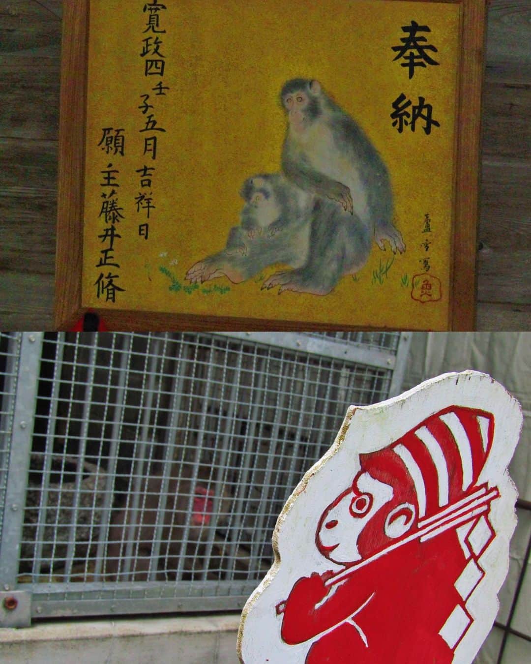 有村のぞみさんのインスタグラム写真 - (有村のぞみInstagram)「見ざる聞かざる言わざる三つの猿よりも思わざるこそまさるなりけり🐒」4月16日 19時15分 - nozomi__arimura