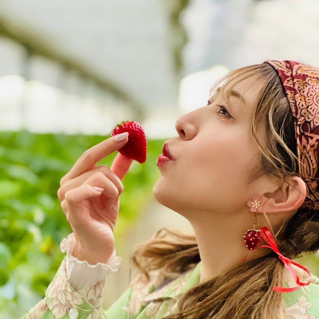 井上麗夢のインスタグラム：「🍓  いちご狩り撮影いけたー！ 10年ぶり近くのいちご狩り。  昔はこの金額の元をとるんだ！ たらふく食べるぞ！ って気持ち悪くなるぐらい 食べてたけど それの経験もあって 色んな品種を少しずつ味わった❤️  30分だけなのに 満足度たーっぷりで食べれた!!  #かおりん #よつぼし #章姫 #紅ほっぺ #おいCベリー  5つの苺🍓食べたよー！ コーヒーも無料でいただけて 200円で練乳も買えた🙄 大人な私は練乳も購入して たっぷり味わいました🍼  #川越 #川越いちご園すじの  #いちご園 #いちご撮影会  #菓子屋横丁 #撮影スポット  Photo by: @usuitoge  _ _ _ _ _ _ _ ⁡ ⁡ #맞팔　#데일리　#소통 #좋아요반사　#오오티디　	#패션 ⁡ #igers #tflers #ootd #fashion #hairstyle ⁡ #コーデ #ヘアアレンジ #撮影会 #撮影会モデル ⁡」