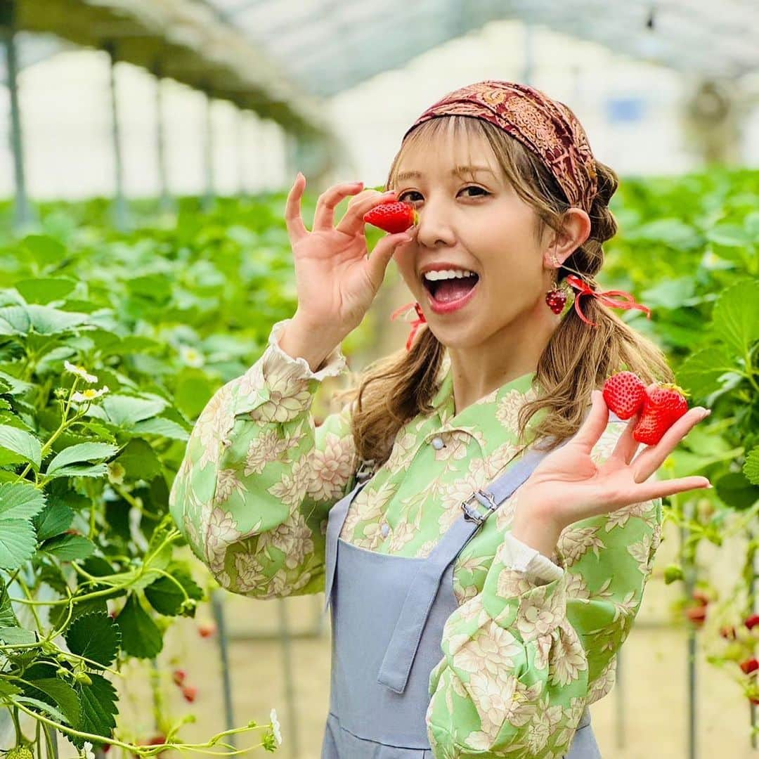 井上麗夢のインスタグラム：「🍓  いちご狩り撮影いけたー！ 10年ぶり近くのいちご狩り。  昔はこの金額の元をとるんだ！ たらふく食べるぞ！ って気持ち悪くなるぐらい 食べてたけど それの経験もあって 色んな品種を少しずつ味わった❤️  30分だけなのに 満足度たーっぷりで食べれた!!  #かおりん #よつぼし #章姫 #紅ほっぺ #おいCベリー  5つの苺🍓食べたよー！ コーヒーも無料でいただけて 200円で練乳も買えた🙄 大人な私は練乳も購入して たっぷり味わいました🍼  #川越 #川越いちご園すじの  #いちご園 #いちご撮影会  #菓子屋横丁 #撮影スポット  Photo by: @usuitoge  _ _ _ _ _ _ _ ⁡ ⁡ #맞팔　#데일리　#소통 #좋아요반사　#오오티디　	#패션 ⁡ #igers #tflers #ootd #fashion #hairstyle ⁡ #コーデ #ヘアアレンジ #撮影会 #撮影会モデル ⁡」