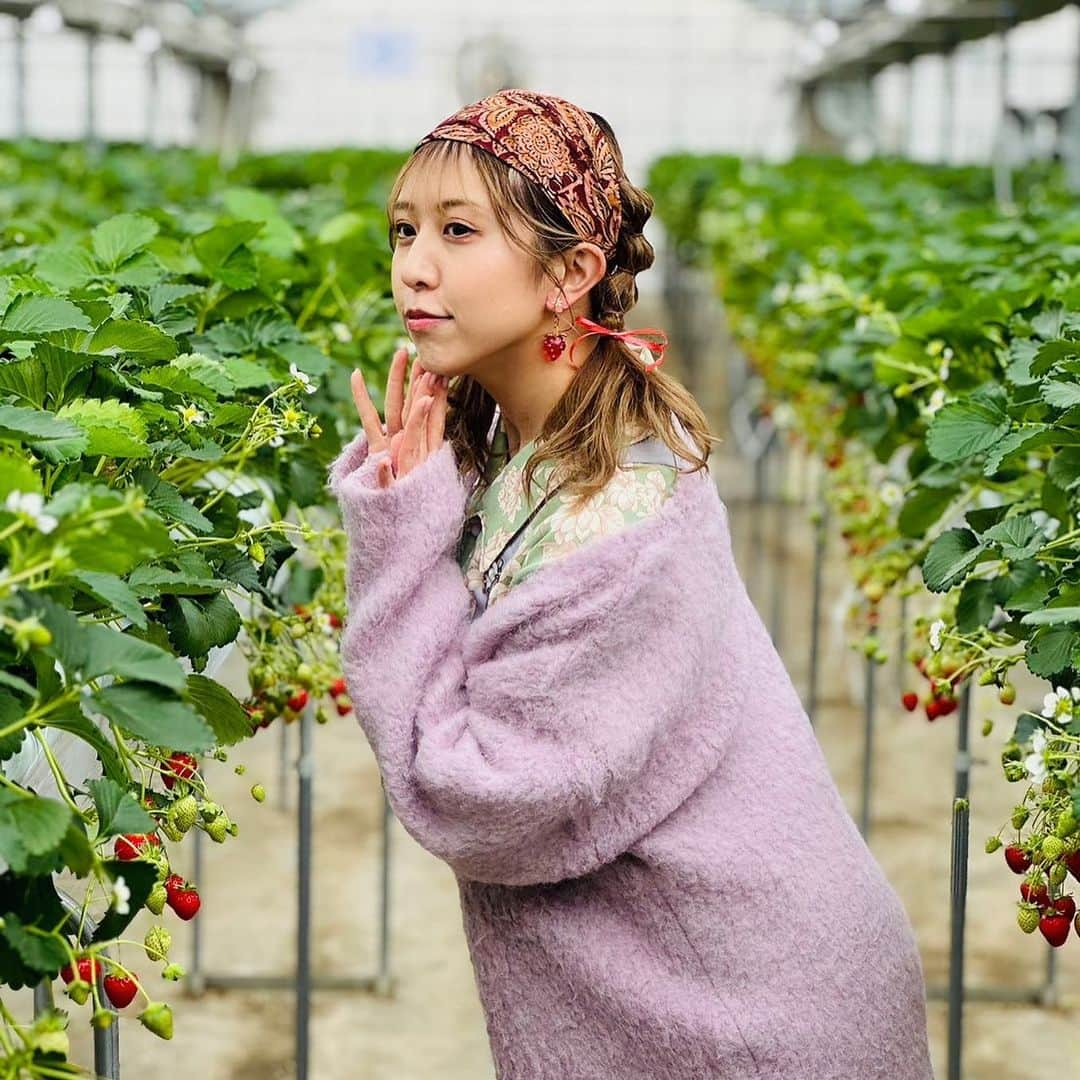 井上麗夢さんのインスタグラム写真 - (井上麗夢Instagram)「🍓  いちご狩り撮影いけたー！ 10年ぶり近くのいちご狩り。  昔はこの金額の元をとるんだ！ たらふく食べるぞ！ って気持ち悪くなるぐらい 食べてたけど それの経験もあって 色んな品種を少しずつ味わった❤️  30分だけなのに 満足度たーっぷりで食べれた!!  #かおりん #よつぼし #章姫 #紅ほっぺ #おいCベリー  5つの苺🍓食べたよー！ コーヒーも無料でいただけて 200円で練乳も買えた🙄 大人な私は練乳も購入して たっぷり味わいました🍼  #川越 #川越いちご園すじの  #いちご園 #いちご撮影会  #菓子屋横丁 #撮影スポット  Photo by: @usuitoge  _ _ _ _ _ _ _ ⁡ ⁡ #맞팔　#데일리　#소통 #좋아요반사　#오오티디　	#패션 ⁡ #igers #tflers #ootd #fashion #hairstyle ⁡ #コーデ #ヘアアレンジ #撮影会 #撮影会モデル ⁡」4月16日 18時09分 - remu_inoue