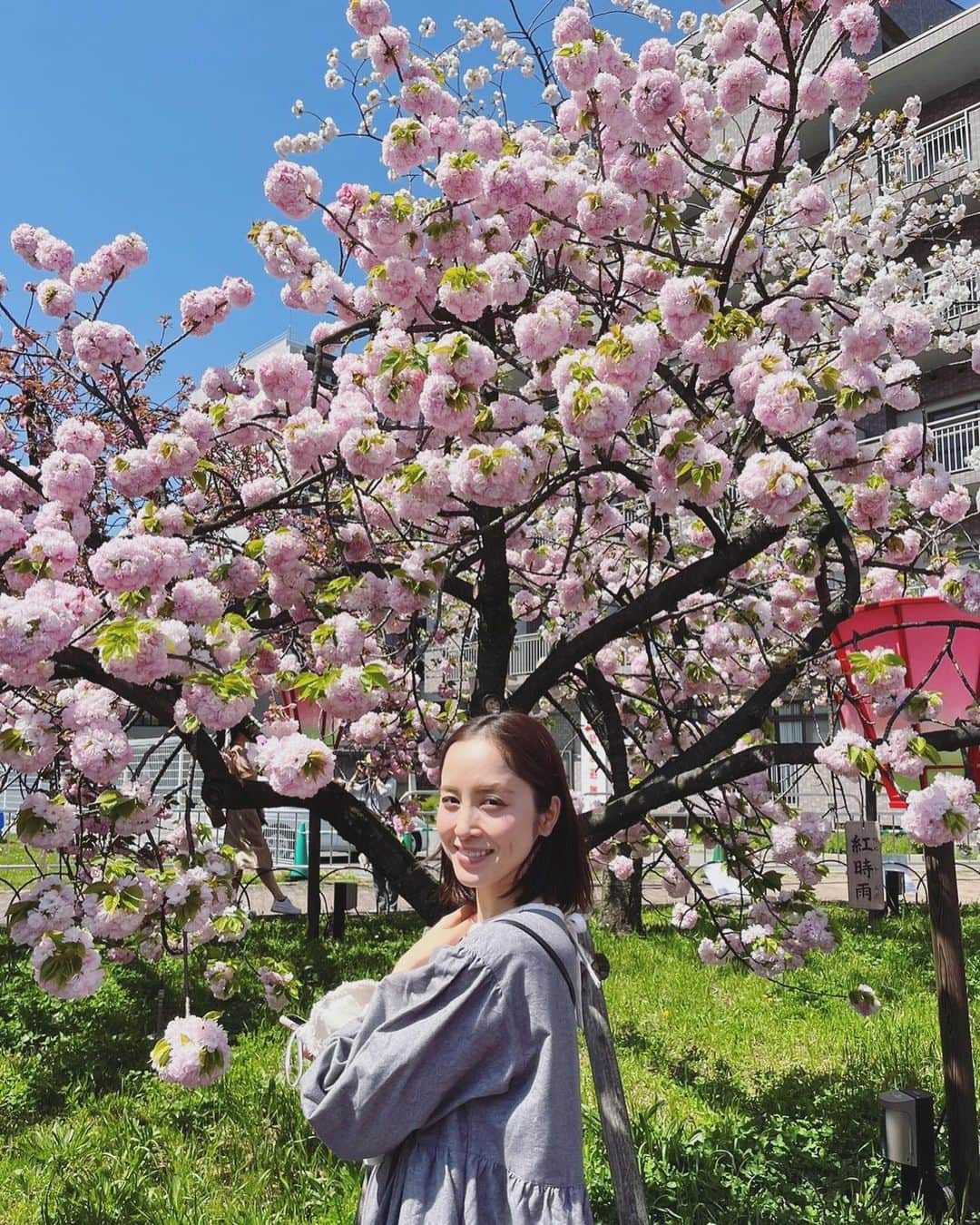 武田訓佳さんのインスタグラム写真 - (武田訓佳Instagram)「🌸🏮 ・ ・ 造幣局の通り抜け🌸 今年は予約間に合いました🥰 ・ 数年ぶりに行ったけど やっぱり八重桜かわいいぃ♡ 鞠みたいにころころしてて 桜餅みたいにおいしそうで 白いのとかセピア色みたいなのとか 思った以上にカラフルで🤍💕 ・ あと、枝が外ハネのもかわいかった😚 ・ ・ 美しいものをみてたくさん癒されている春🌸🌿✨ ・ ・ ・ #たけだの春 #たけだの日常 #春 #桜 #八重桜 #造幣局桜の通り抜け #造幣局 #🌸 #🤍 #癒」4月16日 18時59分 - kunika0117