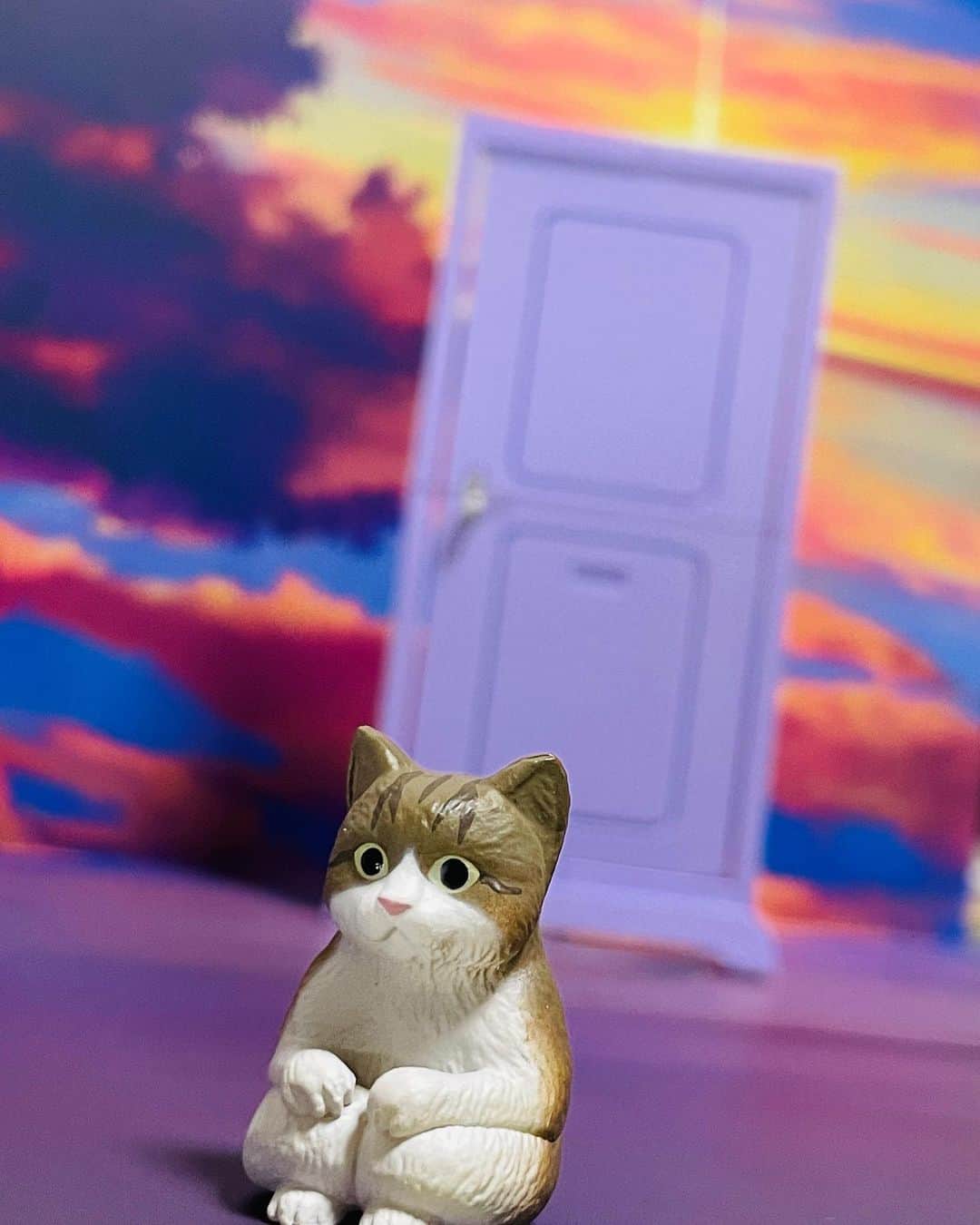 アマルのインスタグラム：「実写版すずめの戸締まり #すずめの戸締まり #ねこ #ガチャガチャ #ガシャポン #1コマ劇場 #写真で一言 #ボケて #実写版 #猫 #ネコ #癒し #かわいい #癒されたい」