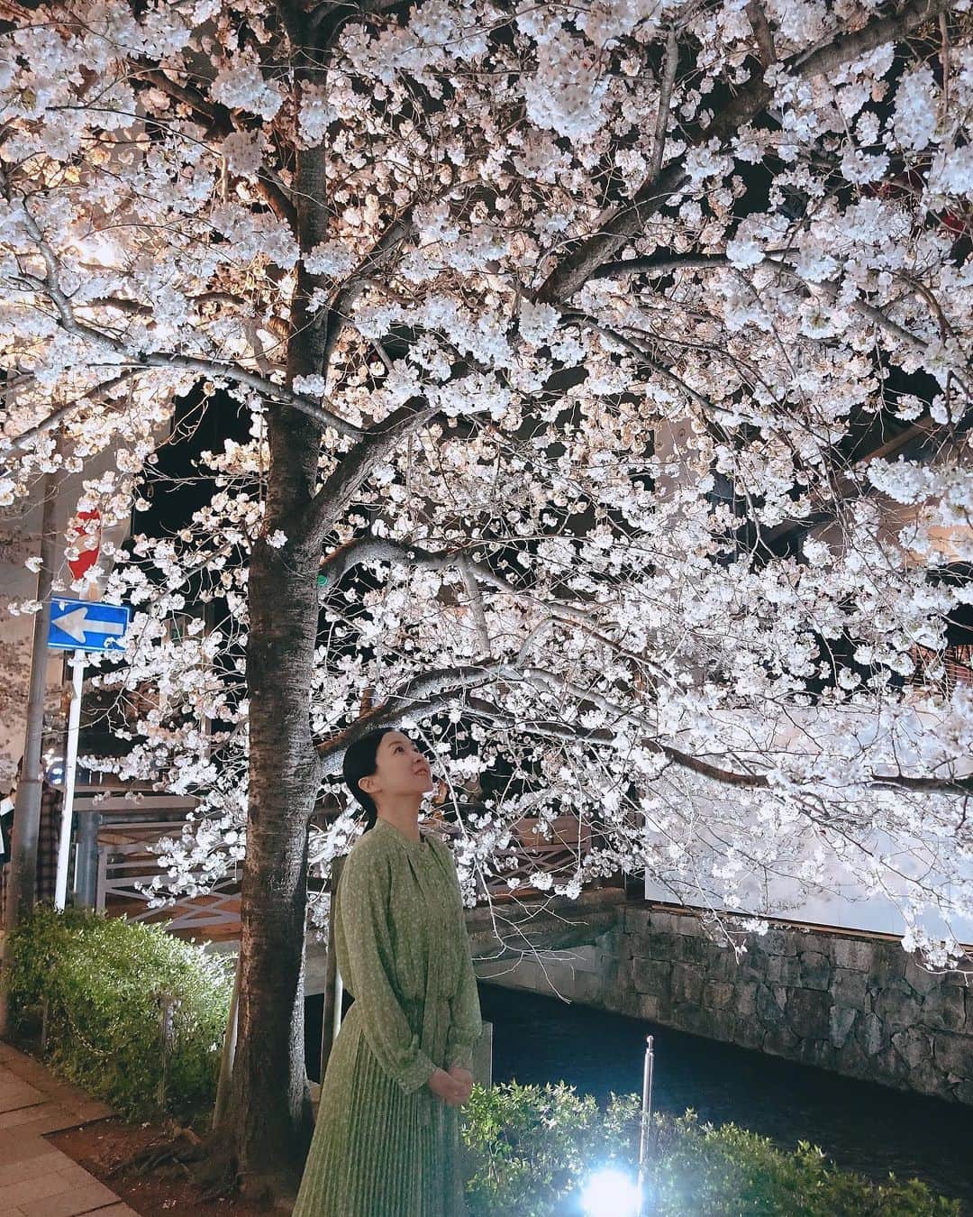 カン・ハンナさんのインスタグラム写真 - (カン・ハンナInstagram)「・ ⁡ ⁡ 今年も京都の桜が見れてよかった。 ⁡ 大好きなホテルに泊まり、 いつもの場所を回りながら桜を見る。 ⁡ 少し前の写真ですが、 京都はいつになってもときめく場所です。 いつか京都に執筆の部屋を持ちたい夢も変わりなく。 ⁡ ⁡ ⁡ ⁡ ⁡ ⁡ #京都の夜桜 #いつまでも私の心の充電の場所 ⁡ ⁡」4月16日 11時41分 - kang_hanna_jp