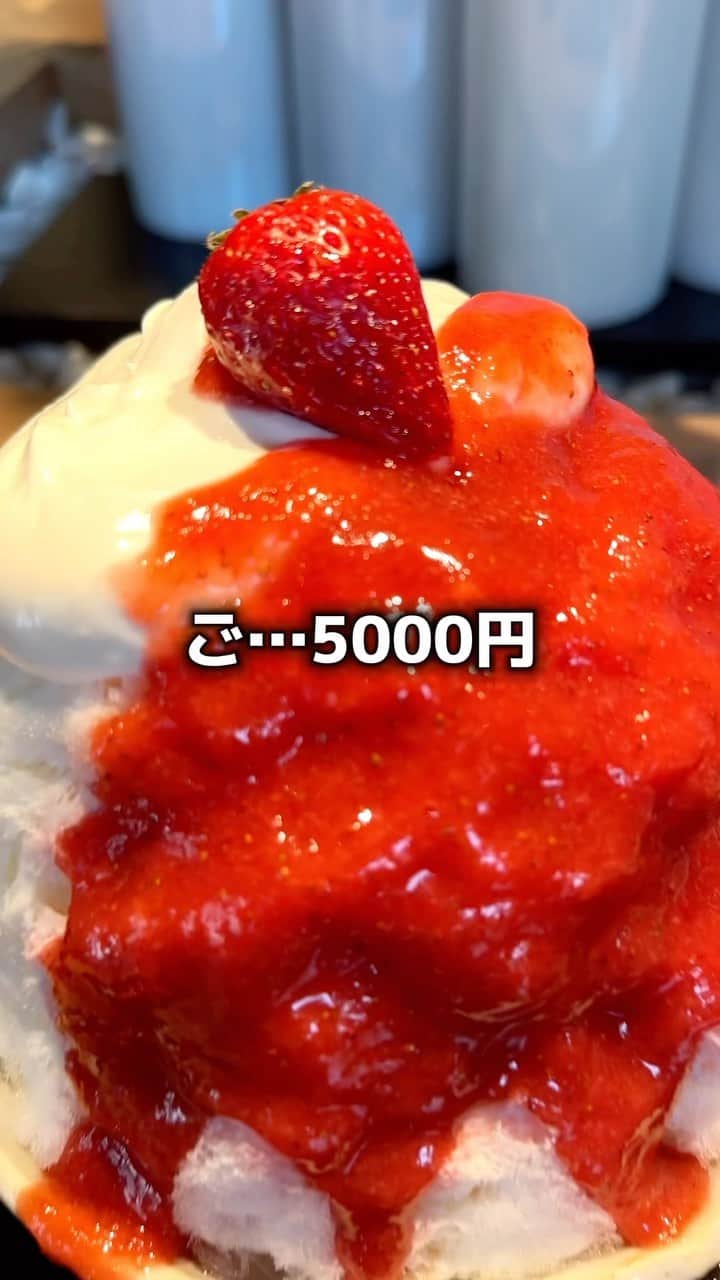 みみねこちゃんのグルメインスタ