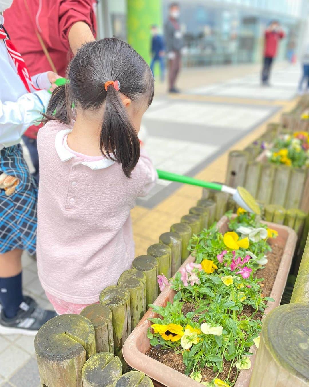 LATOV_ラトブ さんのインスタグラム写真 - (LATOV_ラトブ Instagram)「ガールスカウト福島県第28団の皆さまによる植栽の植え替えが行われました。  花を植え替え、お水をやり、2階　入口前まで運んでくれました。  ガールスカウト福島県第28団の皆さま、ありがとうございます。  平にお越しの際はぜひご覧ください！  #いわき市 #ラトブ #ガールスカウト #いわき駅 #植栽」4月16日 11時44分 - latov_20071025