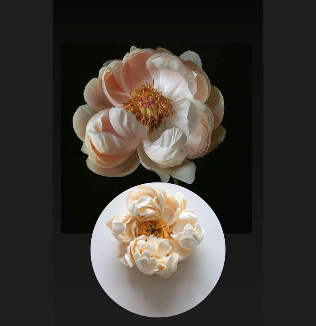 청담 수케이크 (atelier soo)のインスタグラム：「Love peony . Zoom class 🤍」