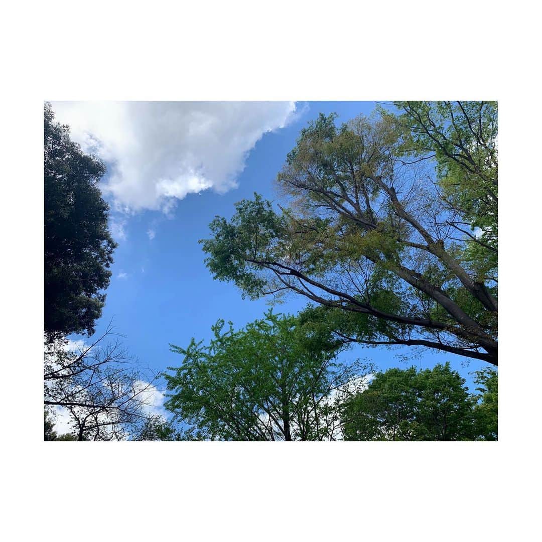 三倉茉奈さんのインスタグラム写真 - (三倉茉奈Instagram)「昨日とは打って変わって 良い天気☺︎ #sunday #sunnyday」4月16日 11時52分 - mana_mikura_official