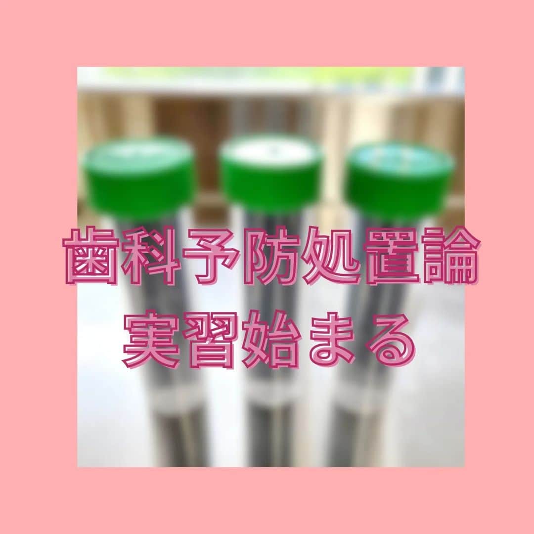 新東京歯科衛生士学校のインスタグラム：「歯科衛生士三大業務のひとつ 「歯科予防処置」は実習が多く、実際の体験から知識を身につけます。 今回は「う蝕活動性試験」という、う蝕＝むし歯になるリスクを評価する検査を体験☺️ 自分の結果、気になるー❗ 患者さんの結果に寄り添い、一緒に努力を続ける歯科衛生士になーれ✨  #歯科衛生士　#歯科衛生士の卵　#専門学校　#う蝕　#細菌」