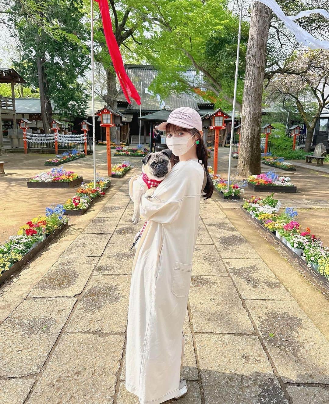 近藤沙瑛子のインスタグラム：「おはよう🌼  #等々力 #等々力不動尊 #等々力渓谷 #パグ #パグのいる生活 #🐶」