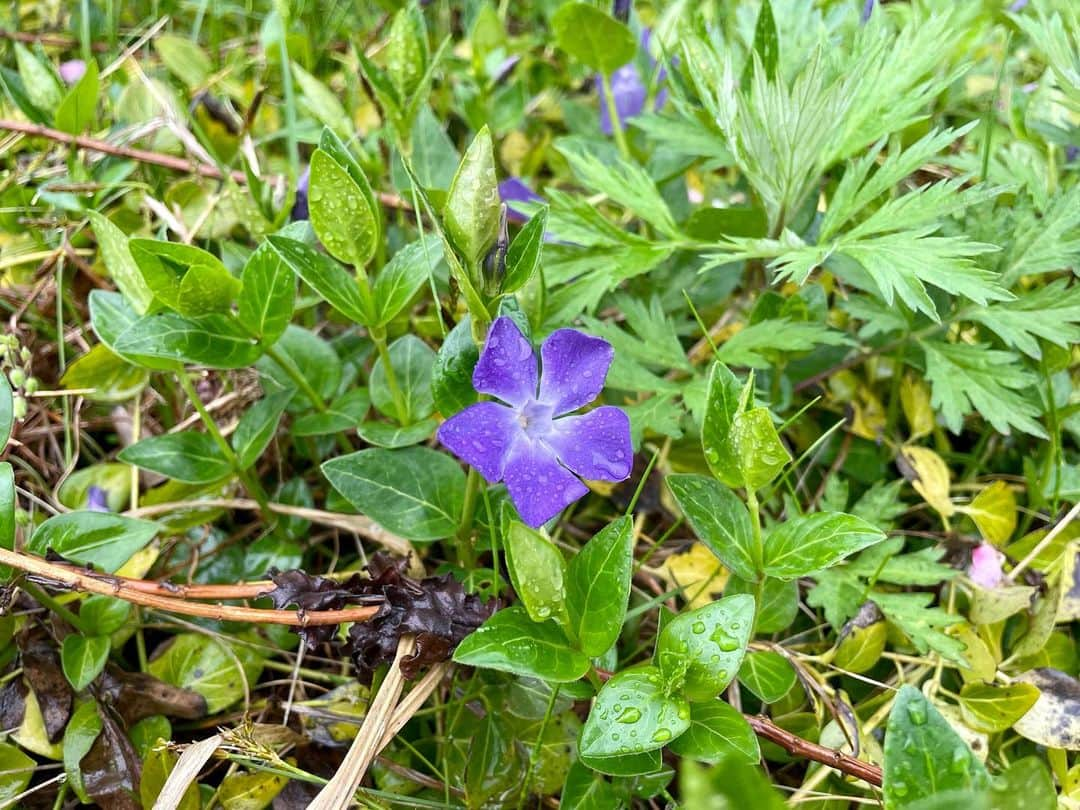 小野祐佳のインスタグラム：「☔️🫧」