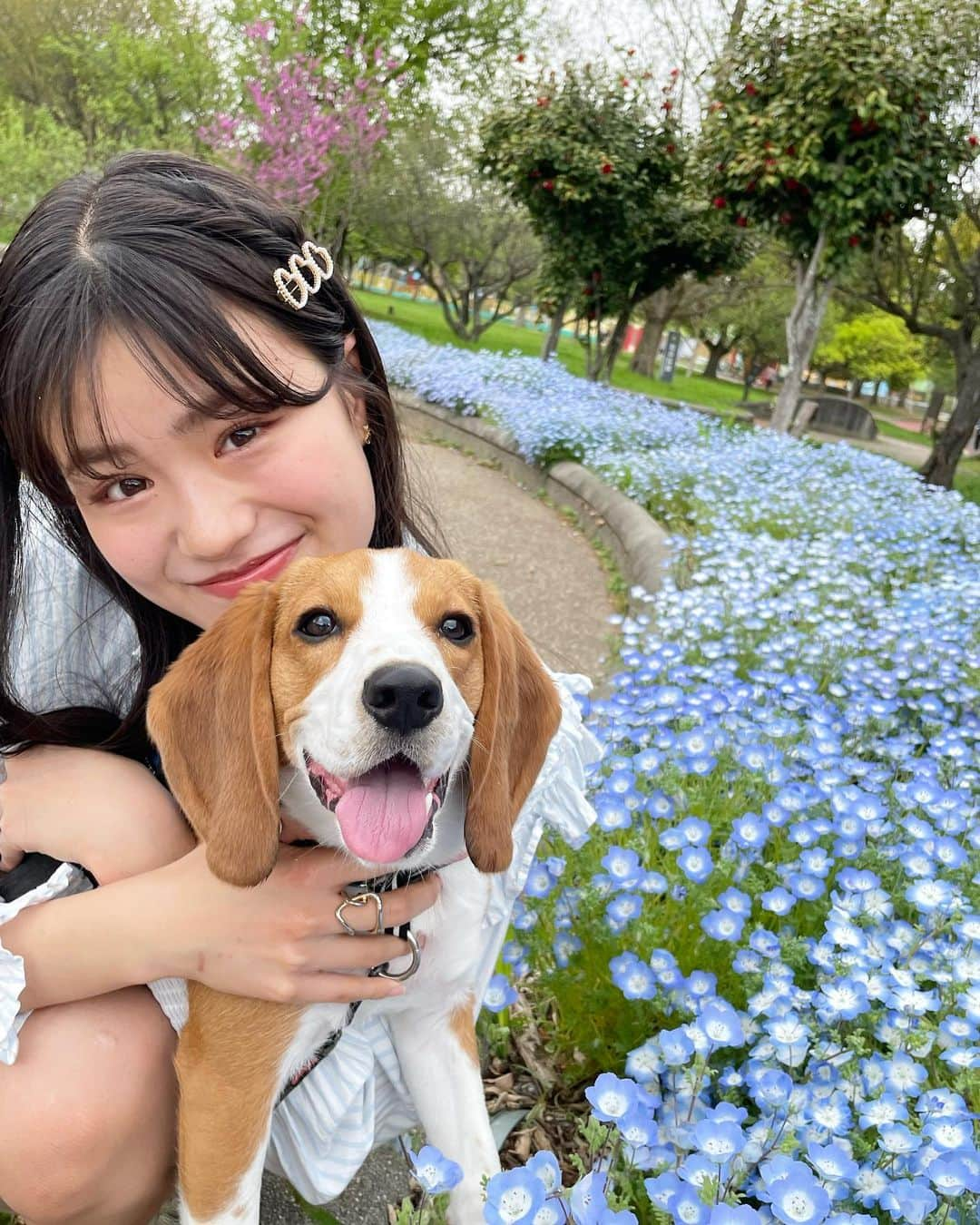 平日菜向のインスタグラム：「いぬー！🐶🐶」