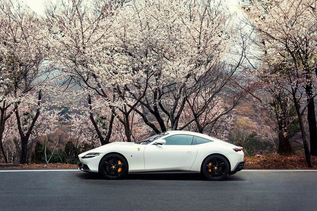 Ferrari APACさんのインスタグラム写真 - (Ferrari APACInstagram)「Let the gentle breeze carry you along an endless journey flanked by the picturesque beauty of spring. #FerrariRoma #LaNuovaDolceVita #Ferrari #FerrariAPAC #Korea」4月16日 13時00分 - ferrariapac