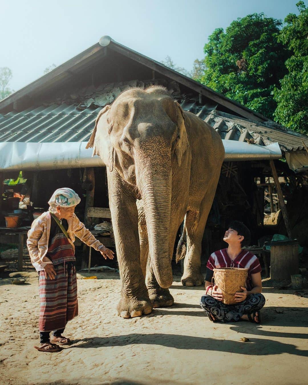 FUJIFILM INDONESIAさんのインスタグラム写真 - (FUJIFILM INDONESIAInstagram)「Dalam kehidupan sehari-hari, seorang fotografer dapat mengabadikan keindahan dan keunikan yang terjadi di sekitanya seperti hasil foto dari @totay168 ini.   Interaksi masyarakat Thailand yang begitu erat dengan gajah di keseharian dapat terabadikan dengan apik dengan Fujifilm X-T5. Dukungan sensor X-Trans CMOS 5 HR APS-C 40.2 megapiksel dan sistem autofocus yang cepat membuat @totay168 mampu mengabadikan momen keseharian dengan kualitas yang tinggi.   Jangan lewatkan momen keseharian karena akan menjadi sebuah kumpulan foto yang menarik!   Captured by @totay168 using FUJIFILM X-T5  #XT5#XT5_id #fujifilm_id #FujifilmIndonesia #10YearsofXMount」4月16日 19時30分 - fujifilm_id