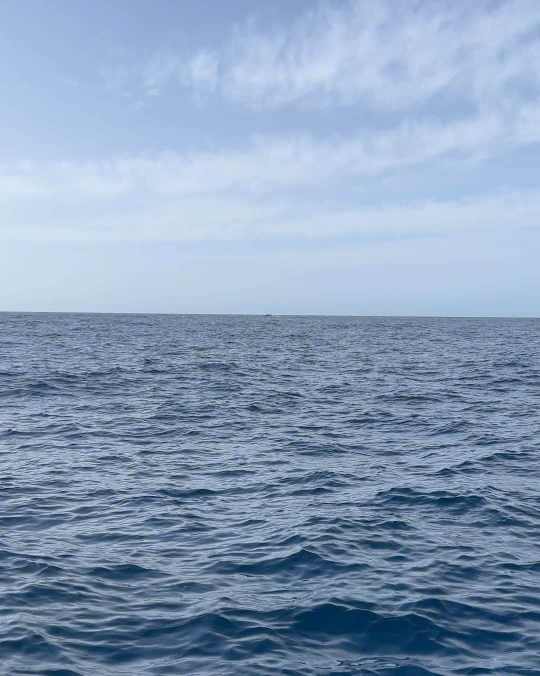 ジェマ・アトキンソンのインスタグラム：「Still on a high that we got to experience this. Pilot whales & dolphins in the ocean. Swimming freely 🥰 At one point there was a group of small fins all together with a larger one a few feet back. The guide told us it was “kindergarten time” and that the adult stays back and allows each adolescent to take turns leading the pod 🥹 It teaches them how to lead & navigate and survive one day with their own family. Beyond intelligent and so sweet ❤️  I also love Mia grassing on papa for standing up as I’d told her that whole morning under no circumstances is she allowed to stand up on the boat without me or Gorka holding her hand 😂😂」