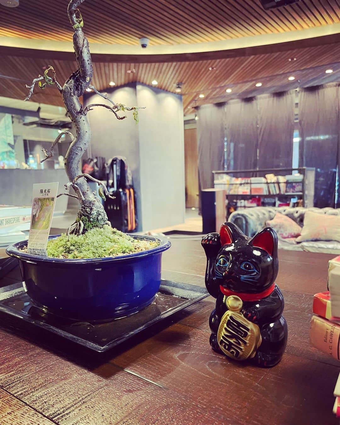 本間憲のインスタグラム：「🐈‍⬛に招かれてちょい飲み」