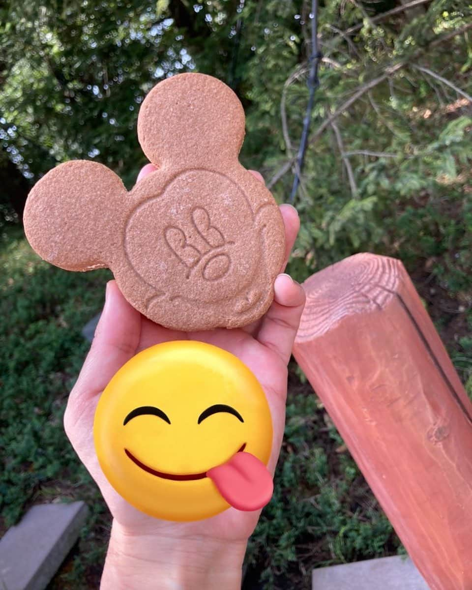 てん（ものまね）のインスタグラム：「#ディズニーランド 🏰🐭👑💓 ミッキーさんのアイス🥰 美味しよね❤️コレ🫶 ちなみにこの日は終日暑かったから半袖だったよ😂 #東京ディズニーリゾート40周年」