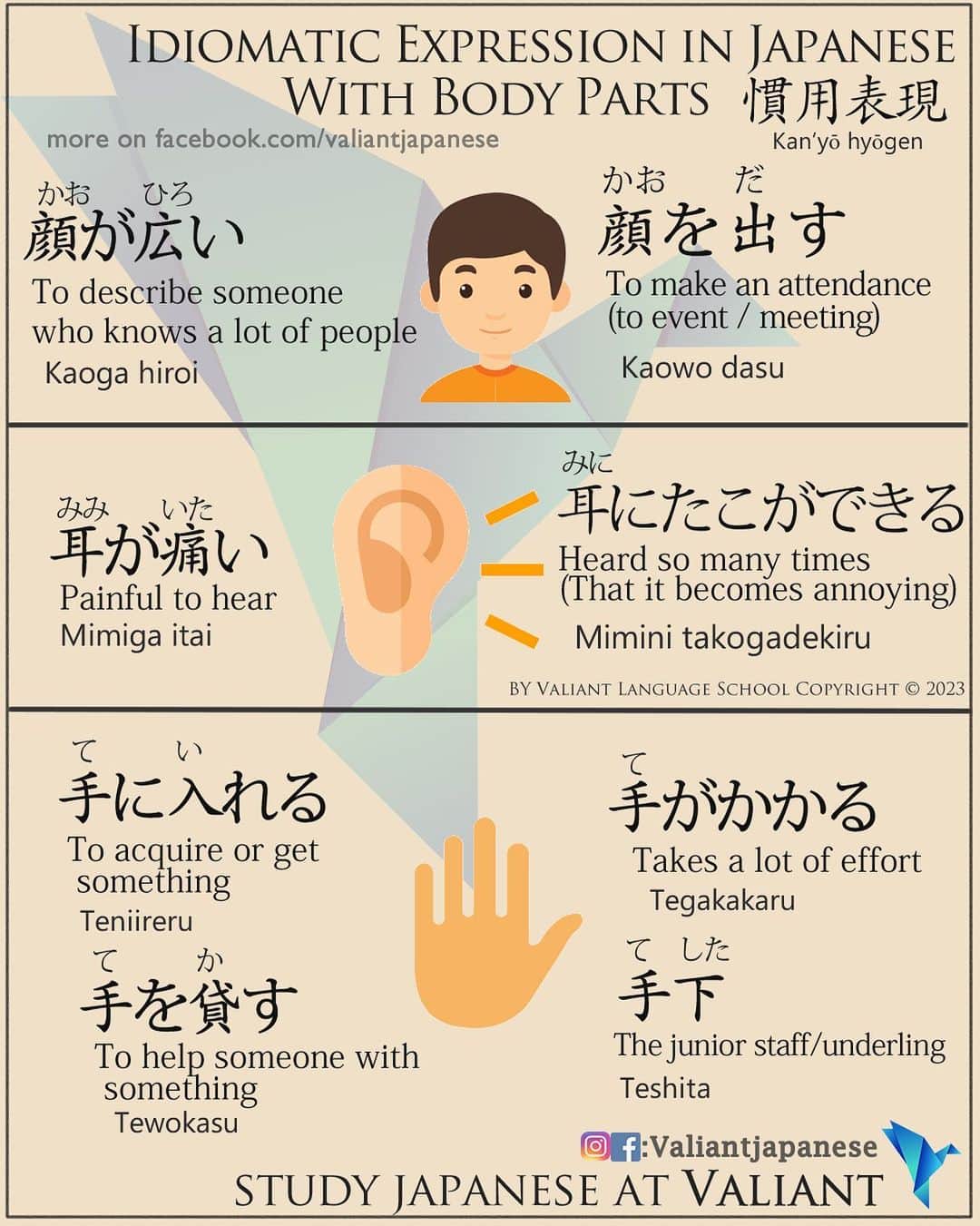 Valiant Language Schoolさんのインスタグラム写真 - (Valiant Language SchoolInstagram)「・ 👩🏼‍🏫🗣: Start Learning Japanese with @ValiantJapanese ! DM us for details.  ・ ⛩📓: Simple Japanese: Idiomatic Expressions using body parts 👂🙈👋 . . . . . . . . .  . #japaneselanguage  #logic  #nihongojapanese  #日本語  #hiragana  #katakana  #foodporn  #일본어  #studyjapanese   #japaneseramen   #Jepang #japanesefood  #noodles #cryptocurrency  #entrepreneurship  #cryptotrading」4月16日 19時28分 - valiantjapanese