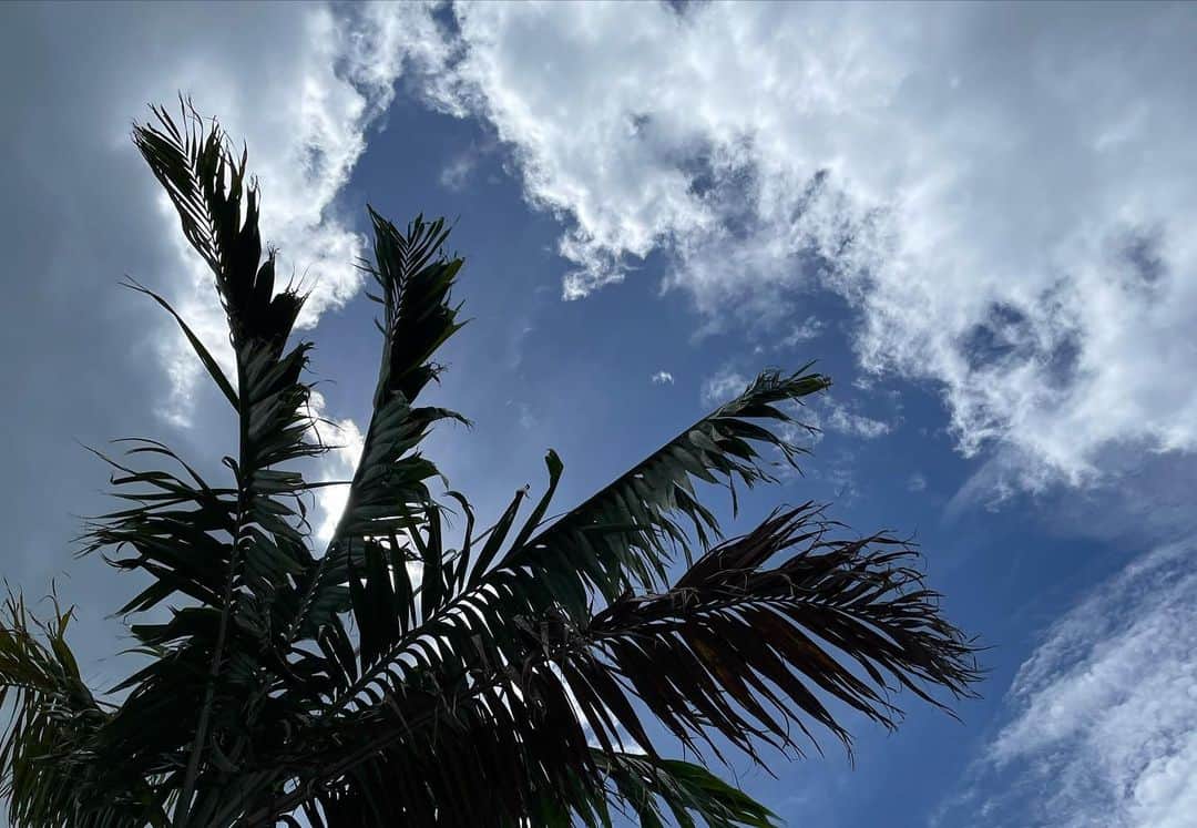 ユ・へランさんのインスタグラム写真 - (ユ・へランInstagram)「하늘과 풍경은 이뻤지만 내 스코어는 극혐이었던  나의 첫 하와이..🌴 #재정비 안좋았던거는 하와이에 놓고 갈게요😛」4月16日 15時39分 - haeran_ryu