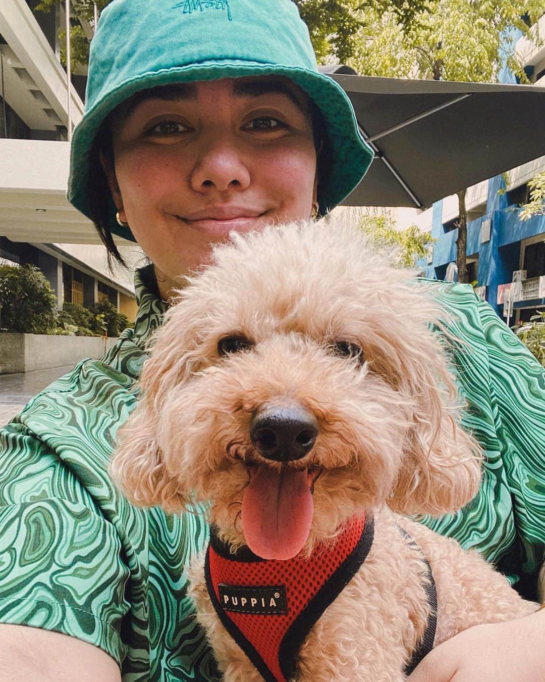 ローレン・ヤングのインスタグラム：「Sunday coffee run and lunch at the weekend market 💓  @thecurator_ is pet friendly and has the yummiest coffee 📍」
