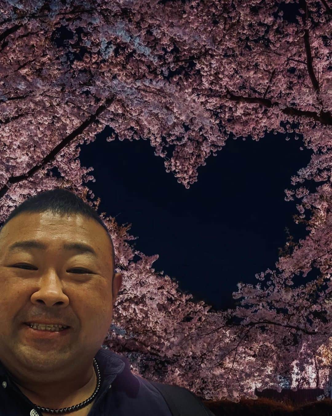 脇知弘さんのインスタグラム写真 - (脇知弘Instagram)「上野駅の構内に桜が満開🌸  えっ？本物？ と思いよくよく見たら造花でしたが幹の部分は 本当よくできてました👍  桜ももうおさらばか〜😭  #脇知弘#上野駅#桜#満開#造花#おさらば#寂しい#ハートの桜」4月16日 15時53分 - t_waki_at