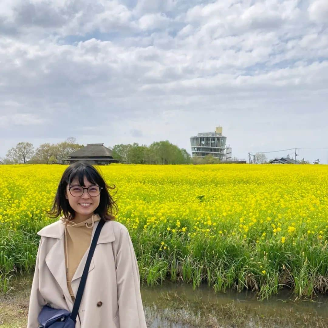 Kaedeのインスタグラム：「福島潟の菜の花を見てきました！天気は良くなくて寒かったけど、たくさん咲いていてキレイでした✨ #福島潟 #菜の花」