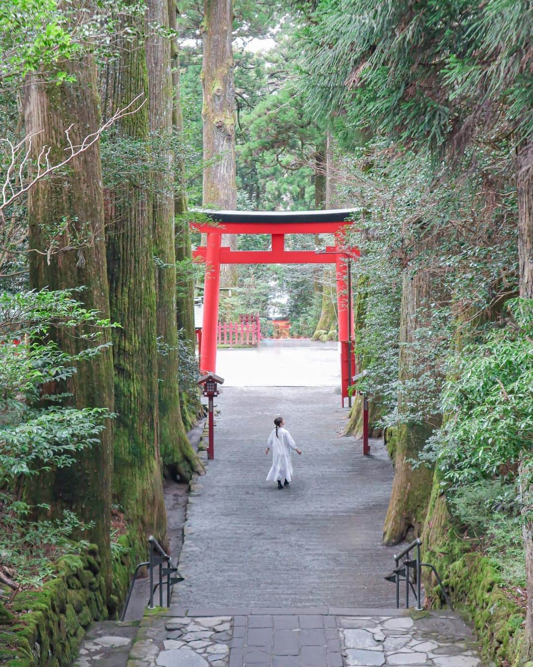 旅行メディア・じゃらん〈公式〉さんのインスタグラム写真 - (旅行メディア・じゃらん〈公式〉Instagram)「#箱根神社 #芦ノ湖 1265年以上の歴史を持つ箱根神社。 神社から芦ノ湖まで続く石段を降りると、湖に建つ「平和の鳥居」を見ることができます。 湖に突き出した石畳を歩いて鳥居の真下まで行くことができます。 . . ━━━━━━━━━━━━━━━ 📍 神奈川県「箱根神社」 📷 @ukatrip 📅 2023.3 ━━━━━━━━━━━━━━━ . . #jalan_hakone　をつけていただいた中からpick upしました 素敵なお写真をありがとうございました┈✈︎  ----- ＼ハッシュタグをつけて投稿してね／ 箱根の行ってよかった場所を「#jalan_hakone」をつけて教えてください👂 ※じゃらんnetページや、じゃらん公式Instagramで紹介させていただく可能性がございます。 ----- . . ☑ お出かけの際には、新型コロナウイルス感染症拡大の防止にご協力をお願いいたします。 ☑ あらかじめ最新情報をご確認の上、お出かけください。 . . . . . #いつか行きたい #じゃらん #観光 #観光地 #観光スポット #旅行 #旅行好きな人と繋がりたい #旅行好き #japantravelphoto #japantrip #japantravel #国内旅行 #絶景 #絶景スポット #誰かに見せたい景色 #誰かに見せたい風景 #神奈川 #神奈川観光 #神奈川旅行 #鳥居 #箱根 #箱根旅行」4月16日 17時01分 - jalan_net