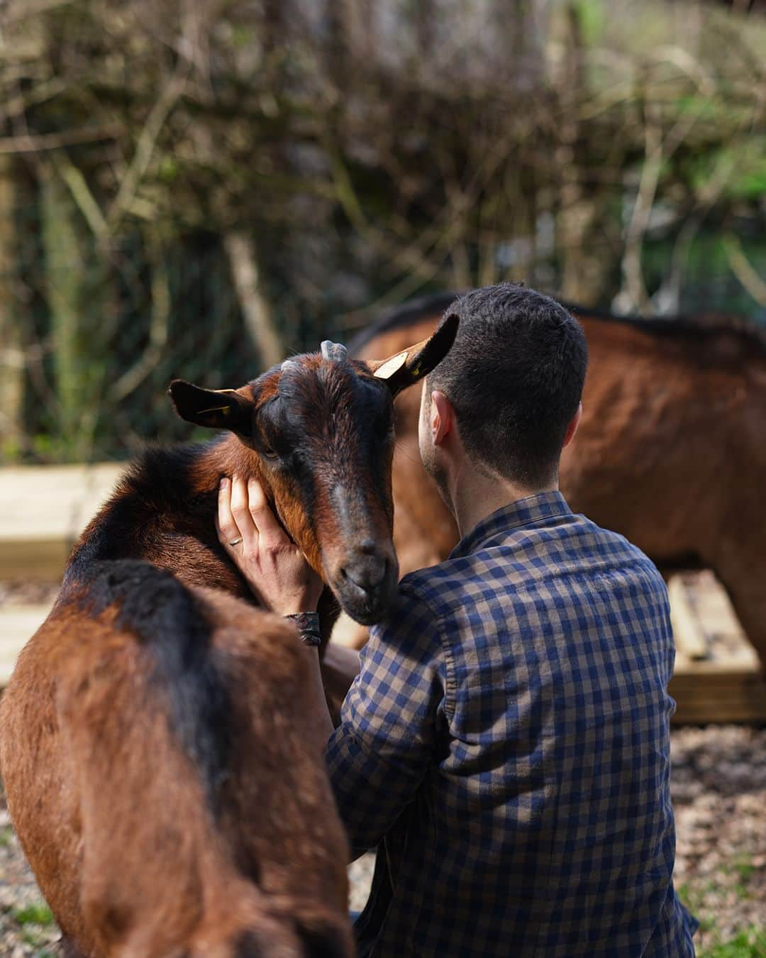 レネレイドのインスタグラム：「Jusqu’au 30 avril, 15% des bénéfices de la sélection Easter Loves Animals sont reversés à l’association @sanctuaireduchateau. - From today until April 30th, 15% of the profits from the Easter Loves Animals selection will be donated to the association @sanctuaireduchateau. - Les Néréides Loves Animals - #Lesnereides #Lesnereidesparis #lesnereideslovesanimals #association #animals」