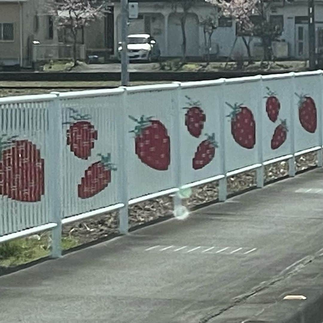 佐久間采那のインスタグラム：「.  🍓  柵に絵が描いてあるやつ 久々見たら 可愛かった !」