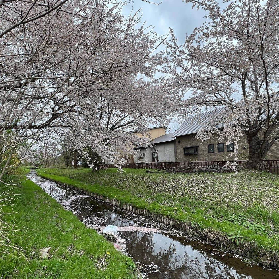 能町みね子さんのインスタグラム写真 - (能町みね子Instagram)4月16日 17時16分 - nmcmnc