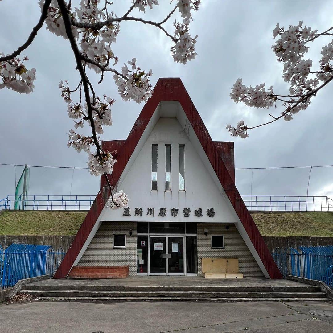 能町みね子のインスタグラム