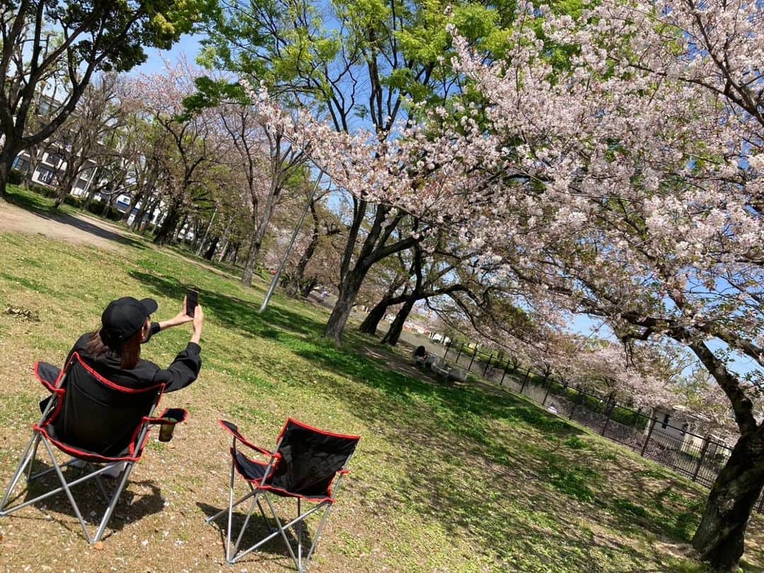 岩野理沙さんのインスタグラム写真 - (岩野理沙Instagram)「いつかの日光浴☀😊  まみー @mamikashuto01  がつきあってくれた😙  日差しがポカポカで 気持ちよかったなぁ(⁠^⁠^⁠)🌸 眠れそうやった笑  椅子だけやとシュールだけど😂  二人で太陽パワーを 受け取りました🌼😆☀  #日光浴　#太陽　#桜　#花見　#葉桜　 #日差し　#パワー　#平和市民公園　#oita」4月16日 17時19分 - risaiwano