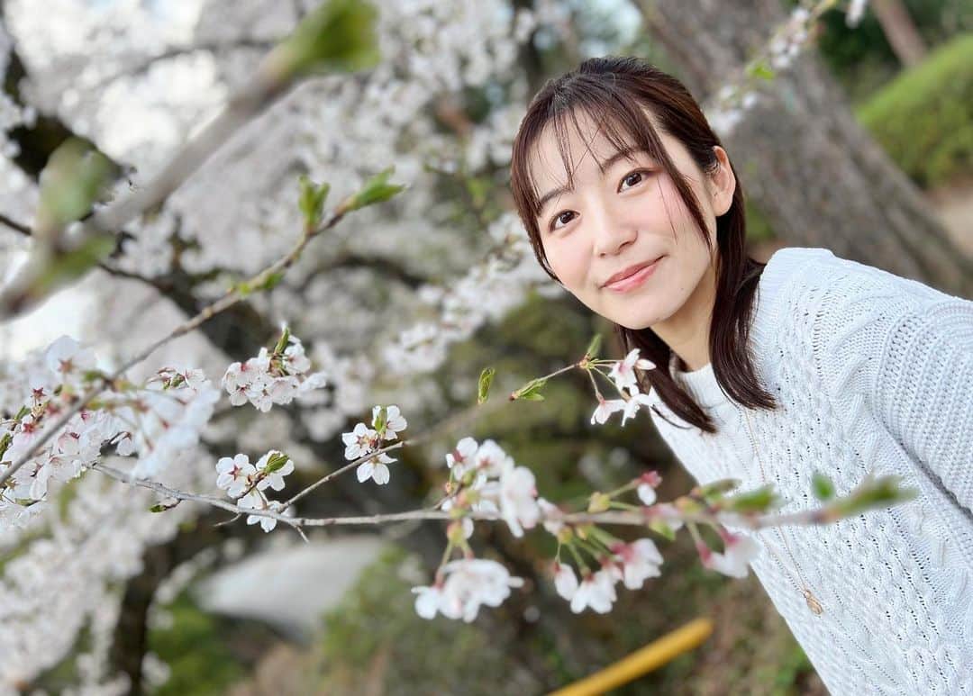 のインスタグラム：「観音山（高崎市） ━━━━━━━━━━━━━━━━━━━━━ 高崎市のシンボル・高崎白衣大観音のある観音山を散策してきました🐾  観音山パーキングは見晴らしが良くて市内が一望できます。桜の名所でもあります🌸  ≪出演情報≫ ◼4月28日(金)夜 バースデーワンマン＠国分寺GiveHearts  #群馬県 #高崎市 #観音山 #慈眼院 #高崎白衣大観音 #高崎観光 #観光スポット #桜 #photo_jpn #touristspot #cherryblossom」