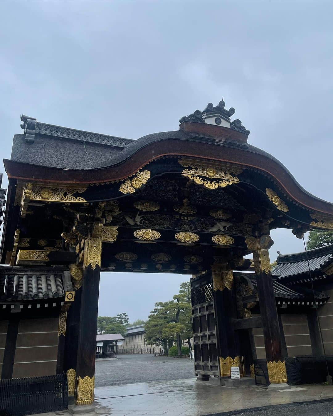 みこさんのインスタグラム写真 - (みこInstagram)「TRAVEL TO KYOTO🏯🎋  今週末は、京都へ！HOTEL SHE,KYOTOコラボで訪れた以来の1年半ぶり。  お天気はあいにくの雨だったけれど、たくさん旅をするようになってから、雨でもがっかりしなくなりました。  傘をさせば意外と平気でどこでも楽しめちゃうんだよね。！  京都の街の色は、日本の自然から生まれた和の色に統一されていて、あいかわらず上品で美しい。  コーデはオールブラック。雨の京都とムードがあってました🖤  ☑︎FOOD ー 千丸屋  クジさんに教えてもらったランチで湯葉鍋が食べれるお店。 期間限定の鴨つみれ白味噌湯葉鍋が絶品…😭  ☑︎SPOT ー 二条城  徳川家康によって築城された宿泊所。 屏風や天井の装飾がとても美しい… ここで集会してたのかぁ、ちょんまげってなんで生まれたのかな、、とか考えながらお散歩。  ☑︎HOTEL ー hotel the mitsui kyoto  2020年に創業したばかりのホテル。 館内にある温泉施設がブラックで、石で、照明が美しくて、過去最高のデザインだった🥹 撮影禁止だったからぜひ見に行ってほしいです、、  ☑︎BAG ー @topologie.jp  雨だったので防水ポシェットを連れて行きました…🤍  ちっちゃくて可愛いけど、ぎりぎり500mlのペットボトルも入れられる絶妙なサイズ…！旅用にこれを探してた！10% offクーポンをもらったので、もしよかったら使ってください🖤 👉🏻 mico412-10 2023/5/5まで  ☑︎CLUB - METRO  見学しに行ったAceホテルのお姉さんが教えてくれたクラブ。かと思いきやいってみたらライブハウス！駅直結なの！珍しい😳たまたま写真展のキックオフパーティーをやっててワールドミュージックを聴いてきたよ👂  みなさんはどんな休日を過ごしましたか〜。DAY2のお話はまた今度。  #京都旅行 #コーデ #topologie #pr」4月16日 19時59分 - mico_sis