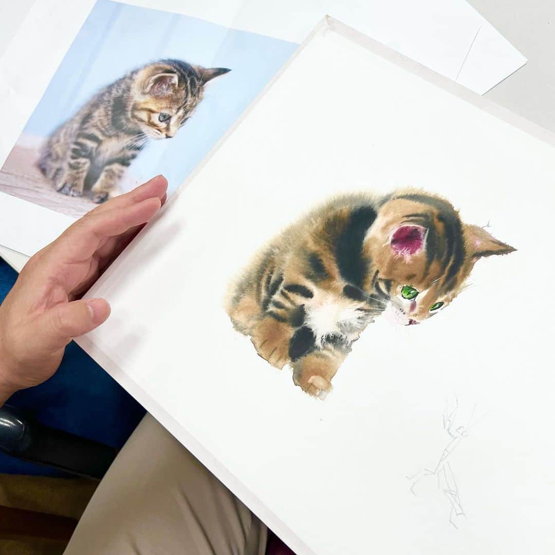 近藤研二さんのインスタグラム写真 - (近藤研二Instagram)「朝日カルチャーセンターで行われた、村上ゆたか先生の講座、滲み技法で描こう「ふわふわ子猫とカマキリ」に参加してきた。  絵具、筆、紙など画材全て指定されたもので同じ主題を描いたのに、参加者30名それぞれの猫とカマキリになるのが面白い。水をたっぷり使った水彩の滲み具合は一筋縄ではいかず、自分と自然の共同作業みたいな感じになるのが奥深く面白い。  先生もひとつのテーマにつき10枚くらい描いてみて一番気に入ったものを作品にすると仰っていたが、見本として描かれた猫の毛並みはやっぱりにわかには真似できない美しさだった。  いろいろ勉強になったし刺激になった。  1枚目、研二作 2枚目、カーコさん作 3枚目、村上先生作  #村上ゆたか #滲みで描くねこ #朝日カルチャーセンター」4月16日 20時01分 - kenjikond0