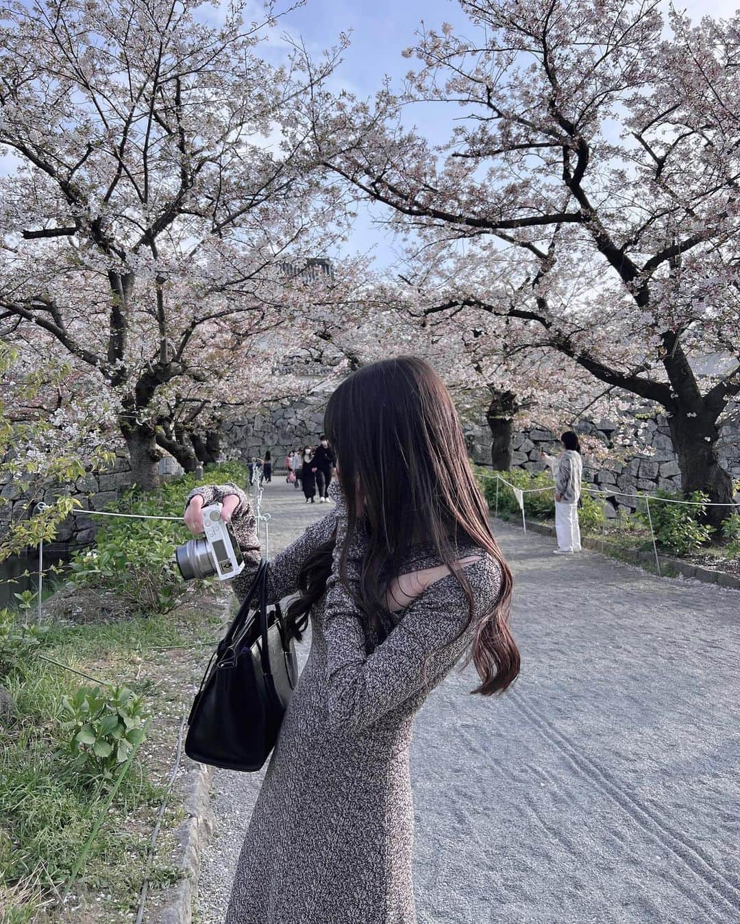 上野瞳さんのインスタグラム写真 - (上野瞳Instagram)「この写真とってもお気に入り🥰 (昨日はご心配おかけしました🙇‍♂️) 私が撮っているのは3枚目の桜とビル🌸 建物オタクなのでビル見るとワクワクする🕊笑 他にもどこも撮ってもピンクな風景に癒された😴  お気付きの方もいるかと思いますが前と お洋服が違います🫢実は舞鶴公園が素敵すぎて 2回お花見しにいっちゃったんだ👼笑 1回目は夕方で曇りだったし、今回は 晴れたお昼に行って無事青空とピンクの 桜の組み合わせを見ることが出来ました🙌💕 お天気も良いからお花見している人も沢山居て さくらまつりもとっても賑わっていました😯 沢山の愛触れられて感謝の一日でした💕  #舞鶴公園 #大濠公園 #福岡観光 #福岡旅行 #福岡旅 #お花見コーデ #お花見スポット #桜スポット #福岡城 #福岡城さくらまつり #城跡 #城跡巡り#福岡城跡 #メルトザレディ #meltthelady」4月16日 20時07分 - hitomi.8