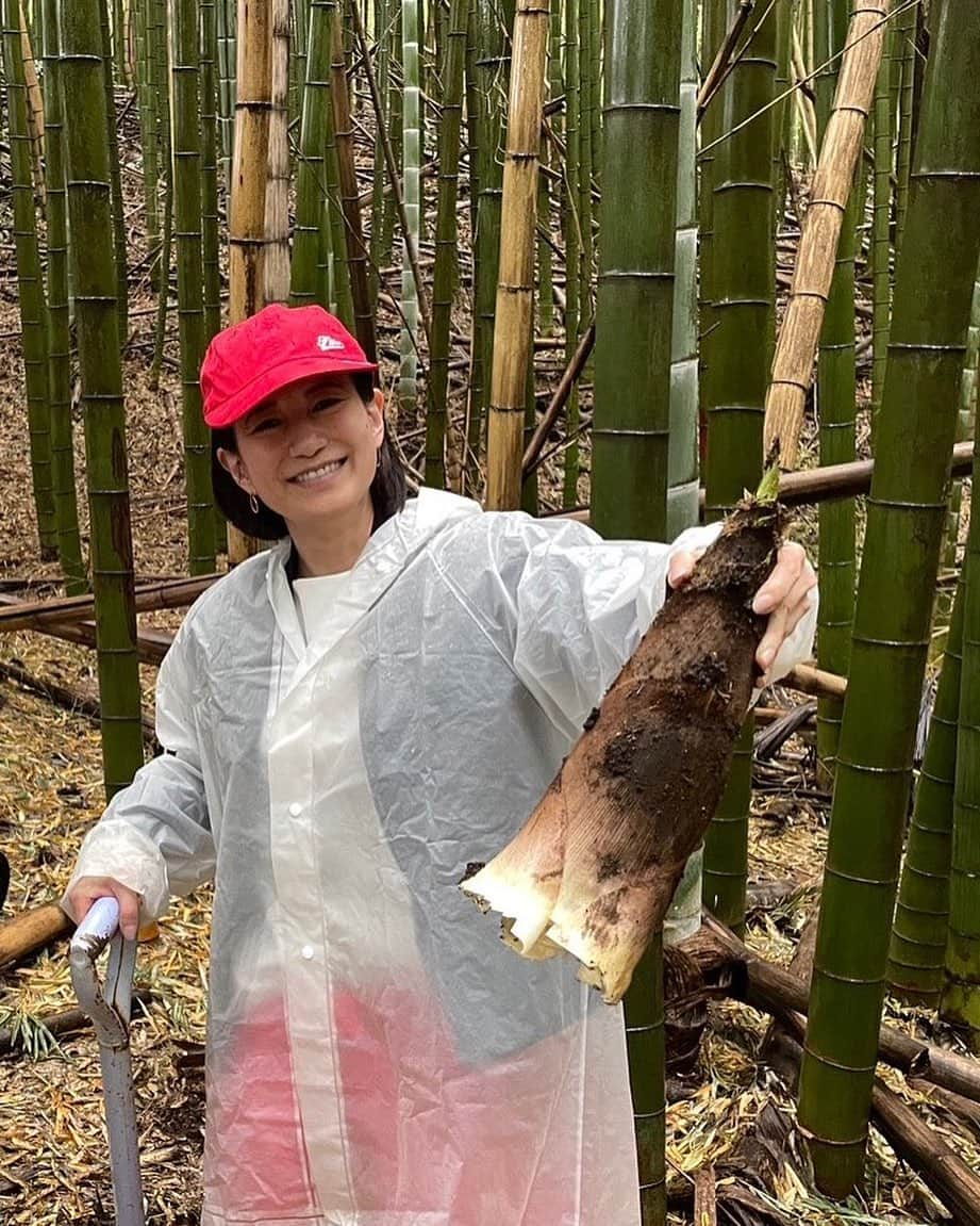 馬場典子さんのインスタグラム写真 - (馬場典子Instagram)「雨の竹林も風情がありました。 amebloに今週の出演情報アップしました。  #筍掘り #馬場典子 #ばばちゃんネル」4月16日 20時07分 - baba_channel