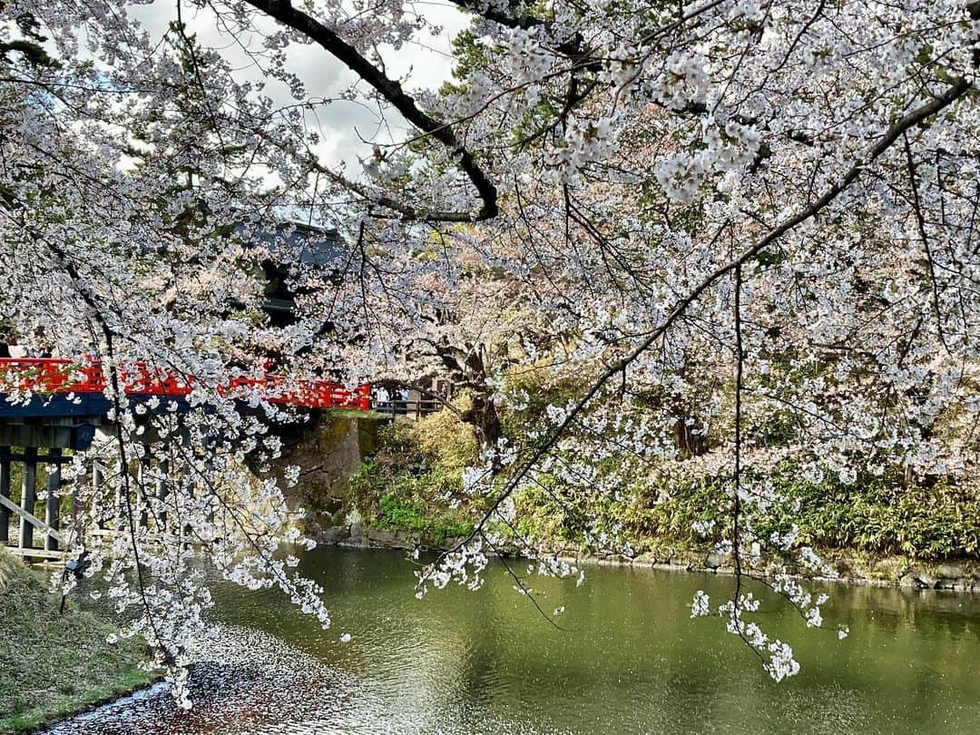 のインスタグラム：「桜前線を追ってやってきたのは…。 今日は胸が温かくなる出会いがたくさんありました。北国の皆さんの表情は、待ち侘びた春に、本当に明るかった！僕も元気が出ました。有難うございます！！ …さて…どこに行ったのか？どんな出会いがあったのか？来月のDayDay.で！！」
