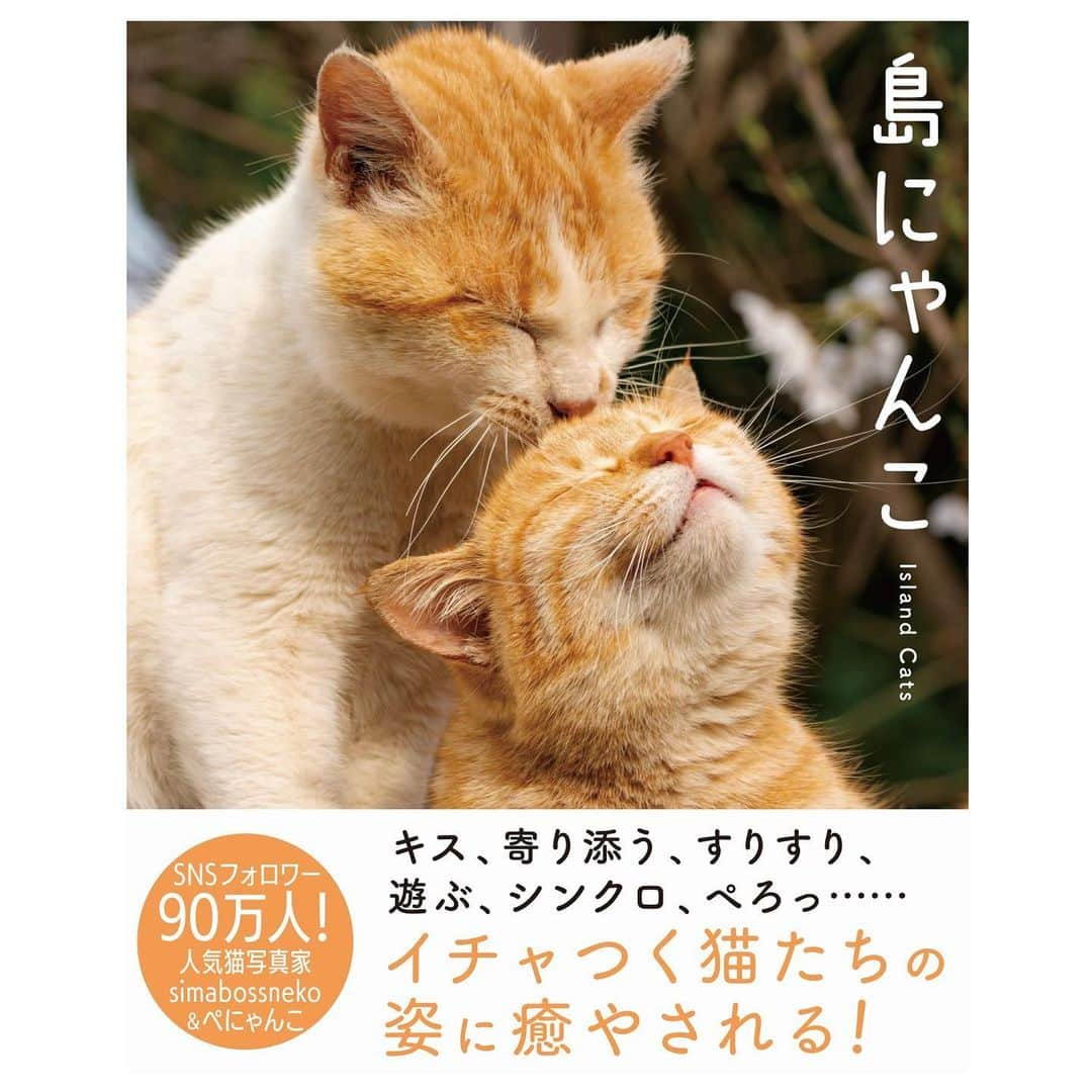 simabossnekoさんのインスタグラム写真 - (simabossnekoInstagram)「・ 島にゃんこセレクション❣️ New Photobook "Island cats(Shima Nyanko)" is full of adorable moments✨ Swipeしてね←←🐾  写真は全て「島にゃんこ」より抜粋。 All photos are excerpted from "Island cats(Shima Nyanko)".  〜お知らせ〜 新作写真集「島にゃんこ」好評発売中❣️ @simabossneko と、ぺにゃんこ( @p_nyanco22 )との初共著🐾  日本の島々で7年間撮り続けてきた、島の猫さん達のとびっきりの表情やしぐさがいっぱい✨ 厳選したベストショットから初公開の作品まで、愛おしくて幸せな瞬間を集めました。  ★Amazonほかオンライン書店、本屋さんにて！ ★メルカリShopsとminne simabossneko's shopでは、サイン本を販売中🐾  お気に入りの一冊になれば嬉しく思います☺️  📘A5変形サイズ／88ページ 1,210円(税込) ワニブックス刊  販売各ショップへは @simabossneko もしくは @p_nyanco22 のプロフィールURLよりご覧いただけます。  もしくはminne、メルカリShops内にて "simabossneko's shop"と検索ください🔎 ・ ・ 【Notice】 NEW 3rd Photobook "Shima Nyanko (Island Cats)"  The book is co-authored by @simabossneko and @p_nyanco22  There are lots of wonderful photos of island cats✨  ◆The autographed books are available now at “minne simabossneko's shop“.   〜Description of the work〜 The cute cats that we have been shooting for 7 years in the islands of Japan.  From the carefully selected best shots to the first public photo, we have collected lovely and happy gestures. Kissing, cuddling, rubbing, synchronizing, playing, licking... The cats will heal you!  Please make a purchasing for this opportunity 😸🐾 The product page can be seen from the URL in the profile of @simabossneko or @p_nyanco22   ★Amazon Japan https://www.amazon.co.jp/dp/4847072863  ★simabossneko's shop URL https://minne.com/＠simabossneko  It is possible to purchase and ship from Taiwan, Hong Kong, the USA, Korea, etc. ※ Shipping fee will be charged separately.  📘A5 variant size / 88 pages 1,210 JPY Published by Wanibooks ・ ・ #しまねこ #島猫 #ねこ #にゃんすたぐらむ #猫写真 #cats_of_world #catloversclub #pleasantcats #catstagram #meowed #ig_japan #lumixg9」4月16日 20時46分 - simabossneko