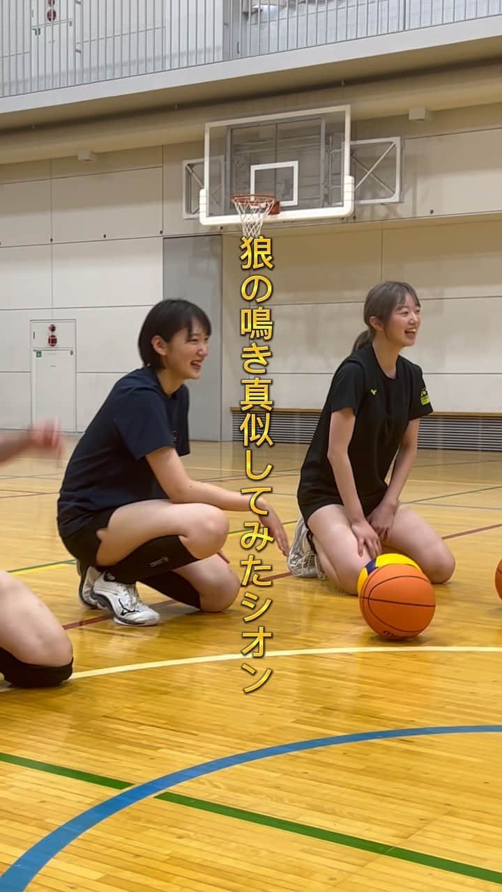 小山綾菜のインスタグラム：「. . . 今日の罰ゲーム【狼の鳴き真似】 次世代かわいい担当シオン頑張ってます👽  #アルテミス北海道 . . ...★」