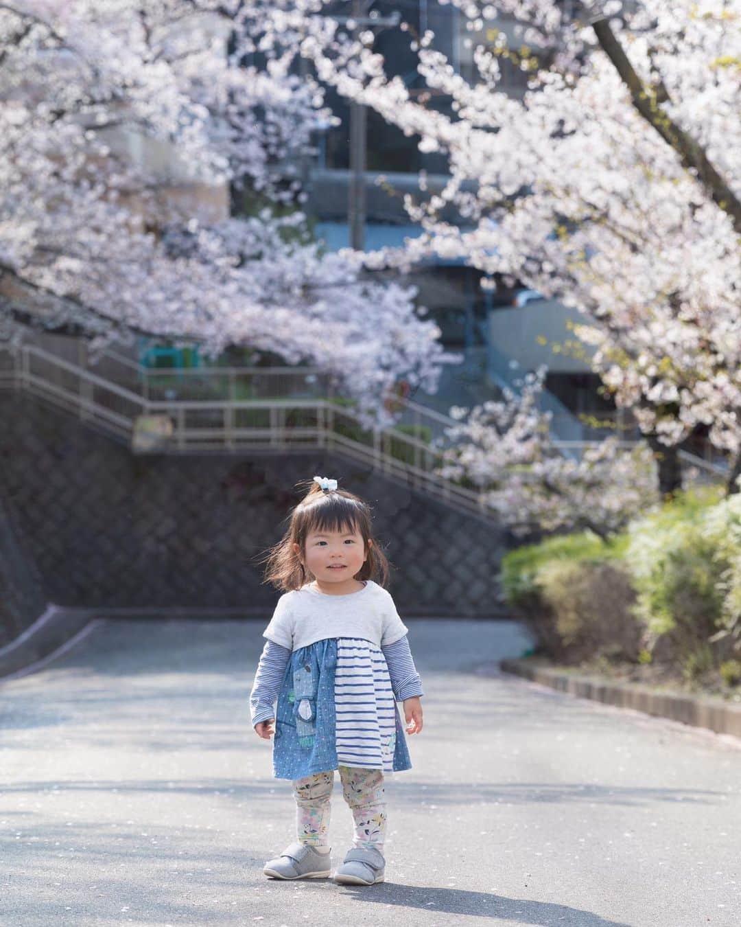 kyoko_zzzのインスタグラム：「ハナマル💮スマイル . . #portraitphotography  #ポートレート  #桜  #cherryblossom  #cutebaby」