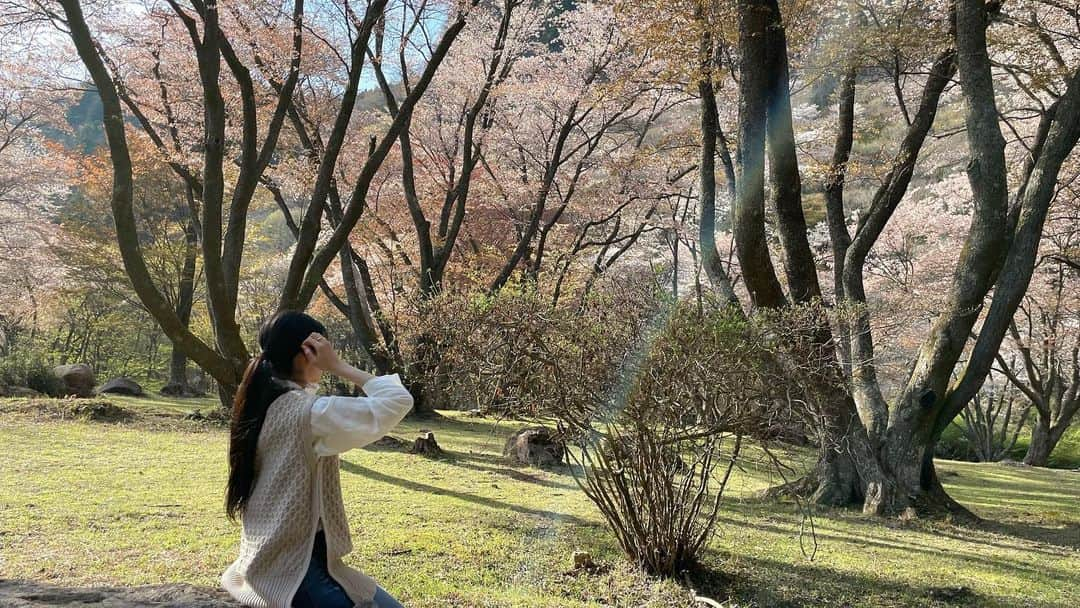 吉田桃華さんのインスタグラム写真 - (吉田桃華Instagram)「#屏風岩公苑 の山桜🌸  ちょっと時差投稿ですが、 曽爾村の春をお楽しみください  #奈良県 #曽爾村 #屏風岩 #観光 #ハイキング  #山桜 #sonivillage #🌸  #吉田桃華」4月16日 21時13分 - momokayoshida_