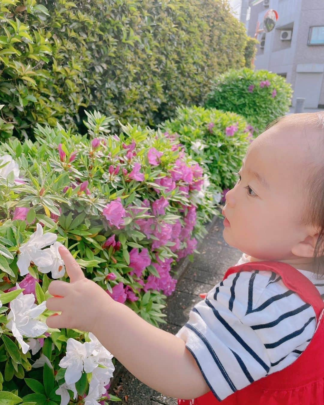 遠山裕介さんのインスタグラム写真 - (遠山裕介Instagram)「頭ハゲとるけどセクシーな娘💕」4月16日 21時44分 - tohyamayusuke