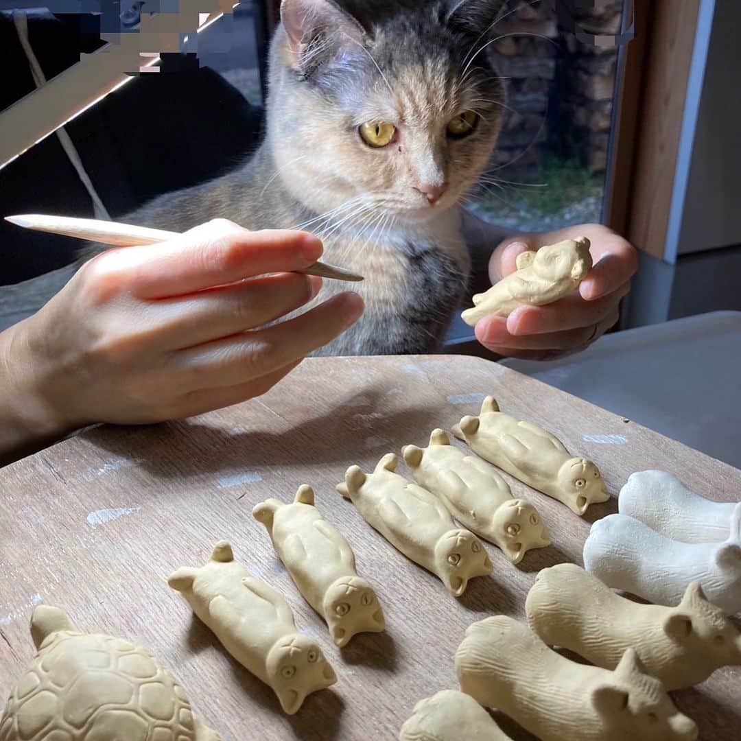 阿部春弥のインスタグラム：「・ In fact, the cat is supervising the project. It is strictly monitored.  Of course, I am joking. ・ 実は私が監修をしているにゃ。 しっかり見ていないと、すぐに手を抜くにゃ。 厳しく監視するにゃ！ ・ #ねこすたぐらむ #箸置き」
