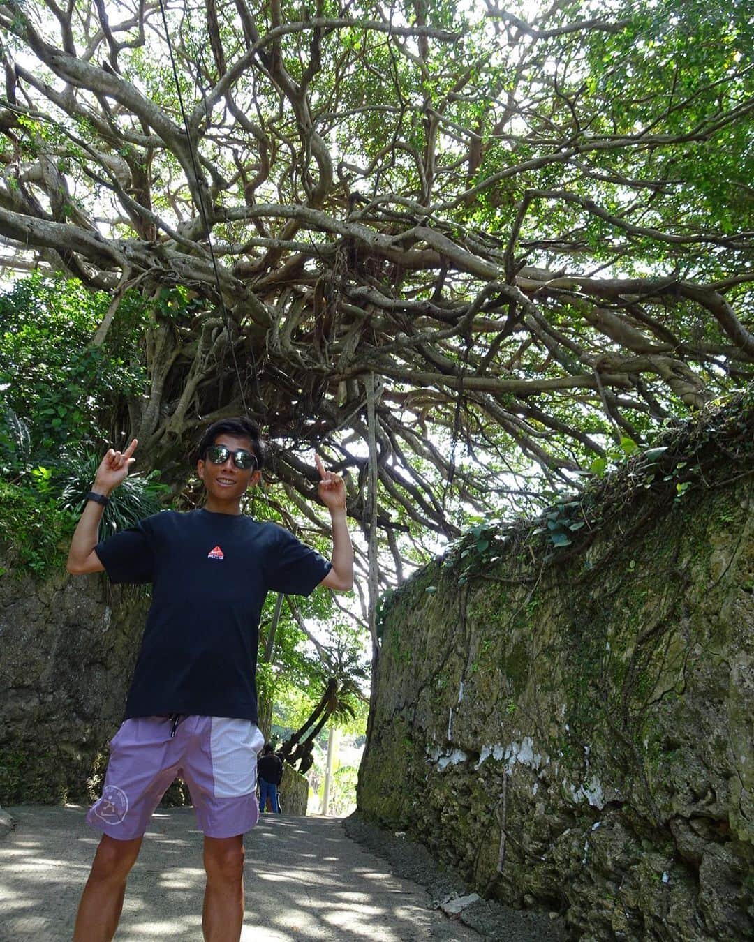 鈴木健吾のインスタグラム：「. 樹齢300年の大先輩と。🌳❣️ 人生の大先輩こと横浜の母と。🫰  徳之島はパワーをくれる島だ。。  #樹齢300年のガジュマル  #犬の門蓋」
