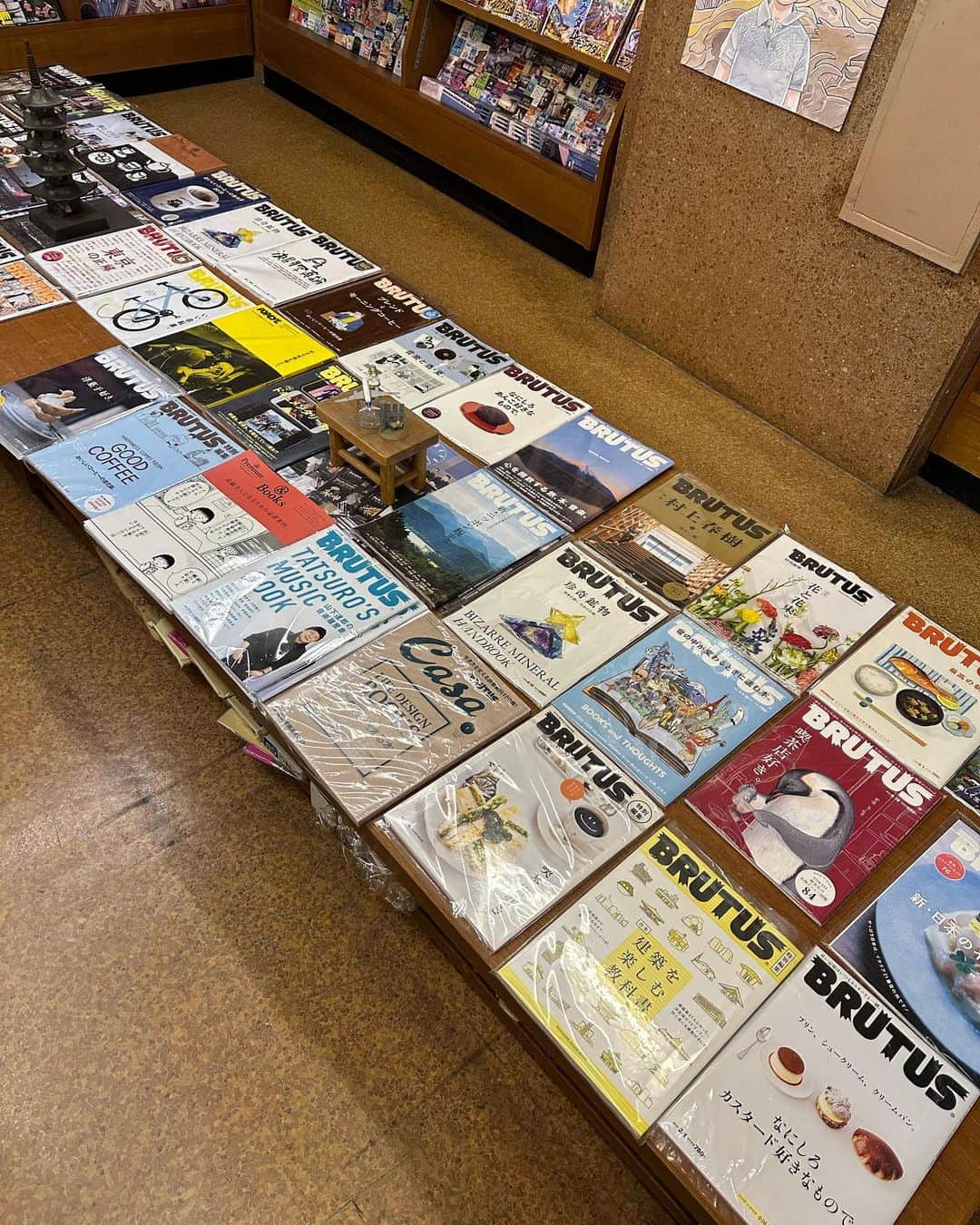 西田善太のインスタグラム：「喫茶店、民藝館、ジュース店…鳥取市はあちらこちらにBRUTUSが置かれている街。定有堂では平積み台にバックナンバーをディスプレイくれていて、これは自分の仕事の展示してくれてる、「これは俺そのものだ🥹」と勝手に喜んでいた。そしてなんと、僕(その頃キャップ)と田島朗(その頃編集者、現編集長)が2人チームで編集した2000年の特集『たった一つのホテルのある島へ』がまだ売られていて、懐かしかった。定有堂さん、ありがとう。読書会は続くと聞きました。いつか参加したいです。 #定有堂書店」