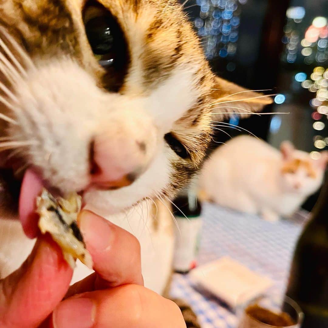 池田有希子さんのインスタグラム写真 - (池田有希子Instagram)「にぎすです。」4月16日 22時17分 - yukikoikeda